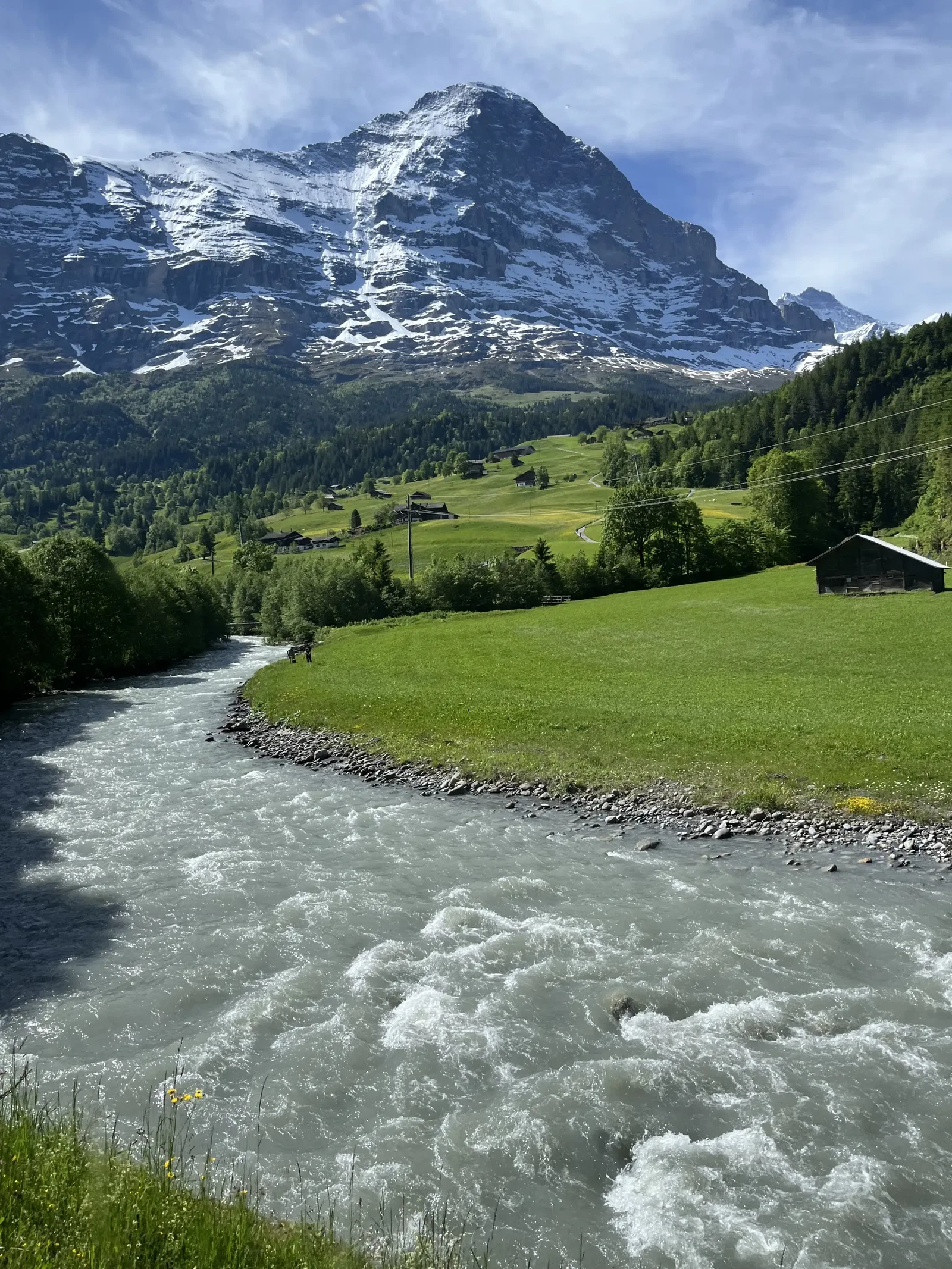 Switzerland ‘25 by Liz Schatte