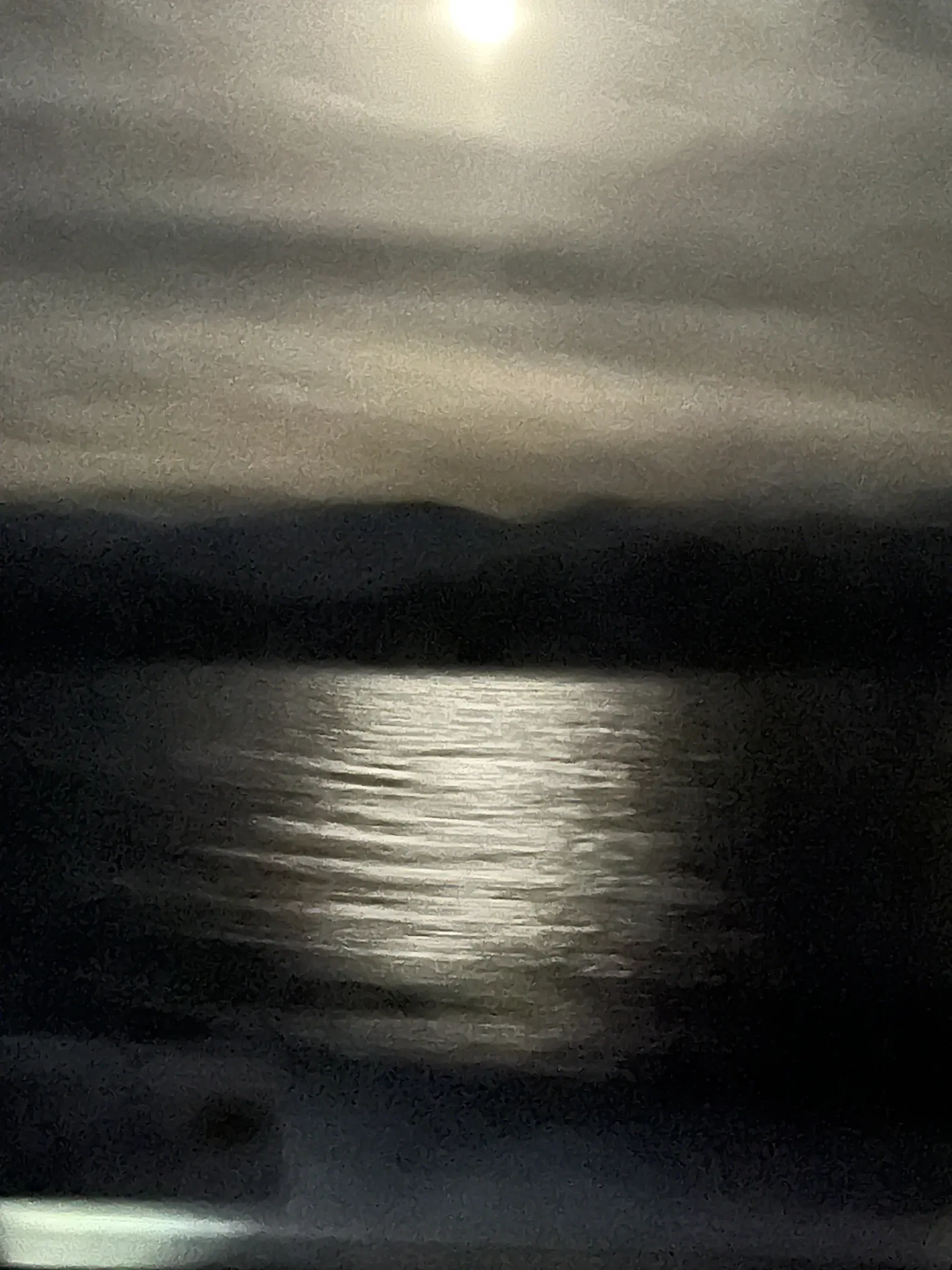 Photograph by Liz Schatte