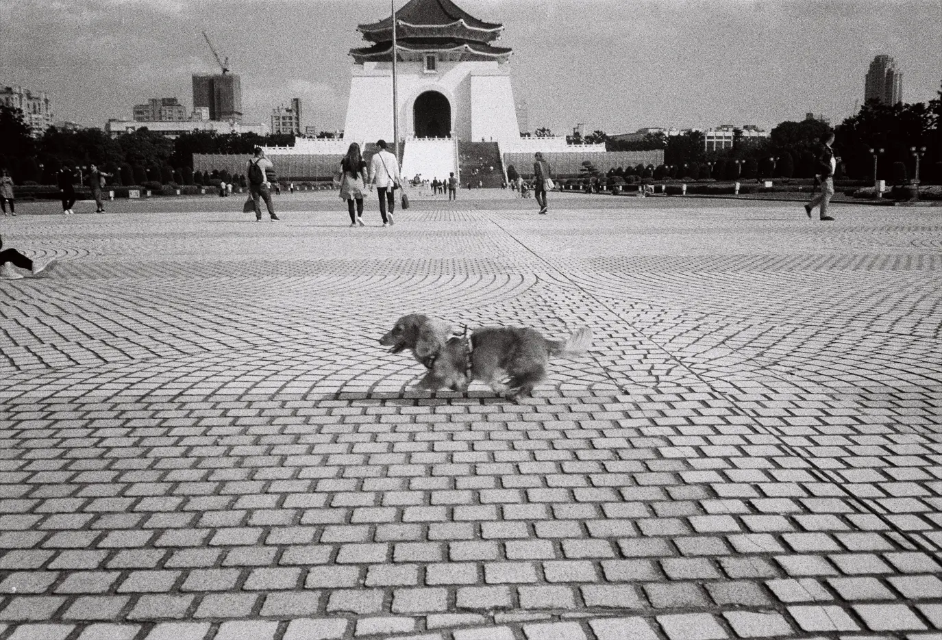 Photograph by Jean Baptiste Brutelle