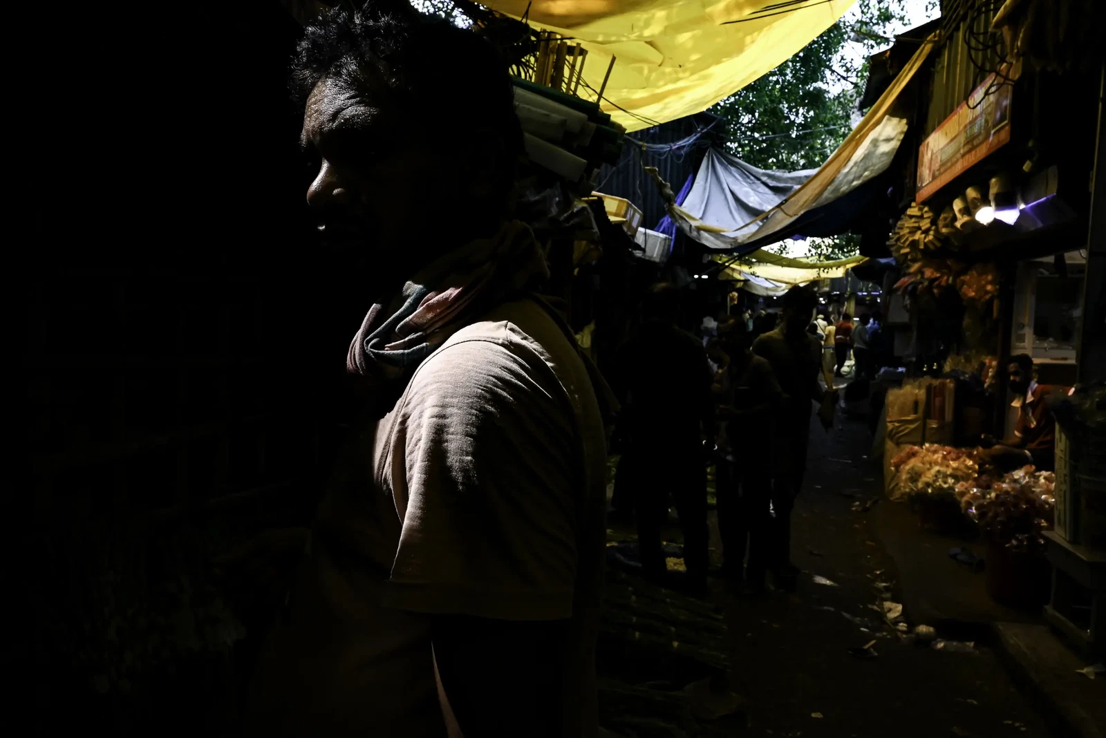 Photograph by saurojit-samanta-1