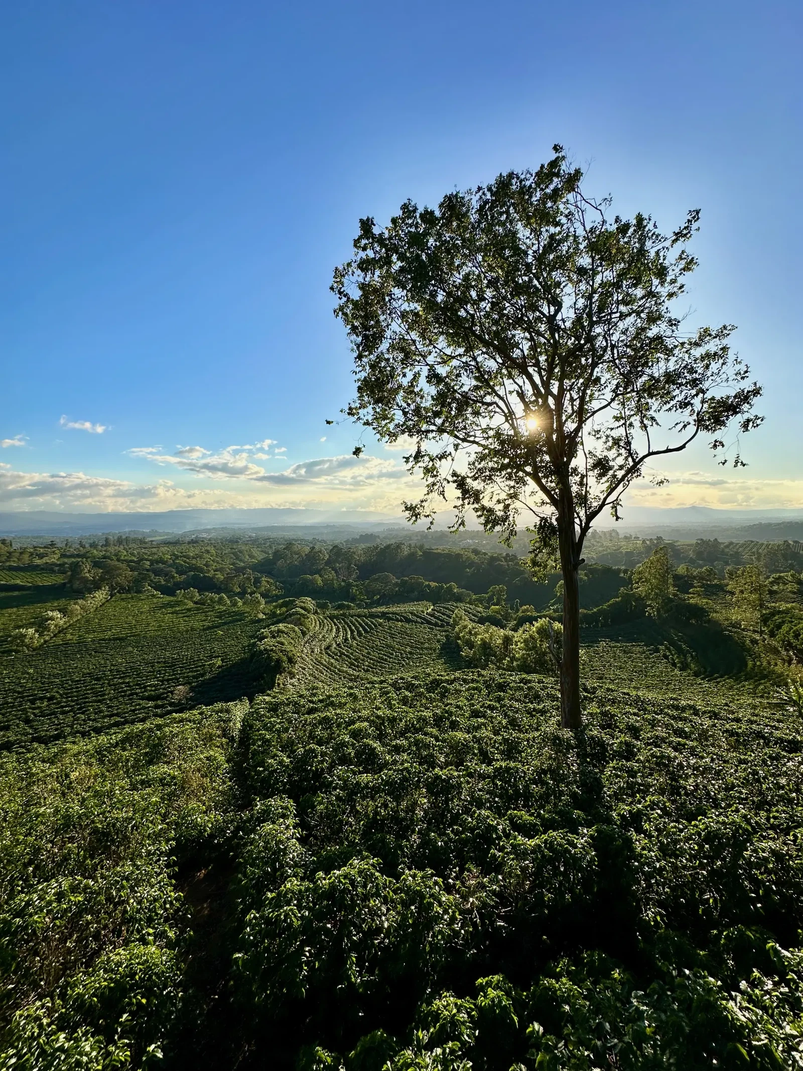 Photograph by Scott Keller
