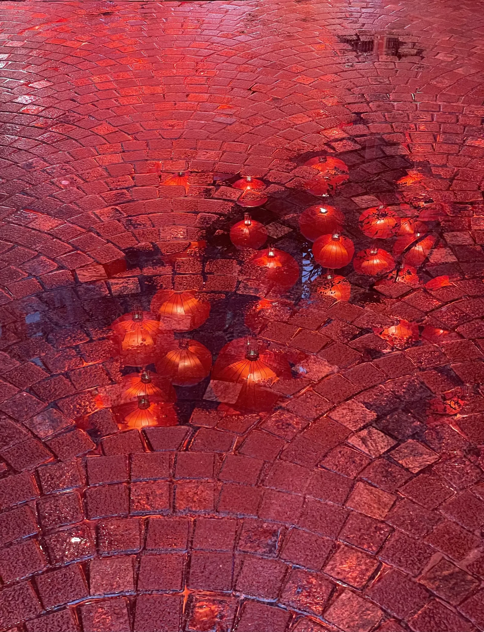 Photograph by Scott Keller