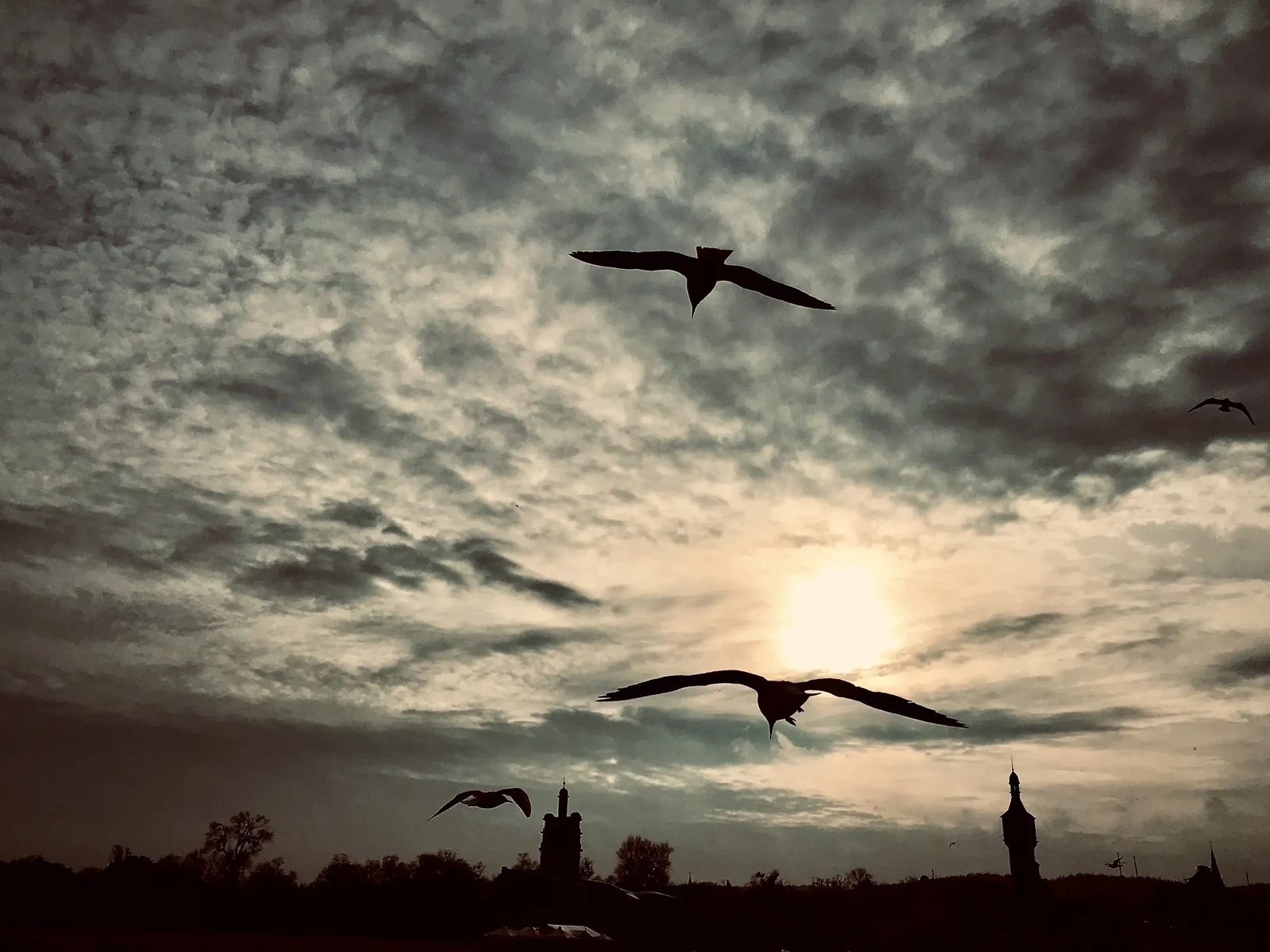 Photograph by Beata Bohdziewicz-Sulecka