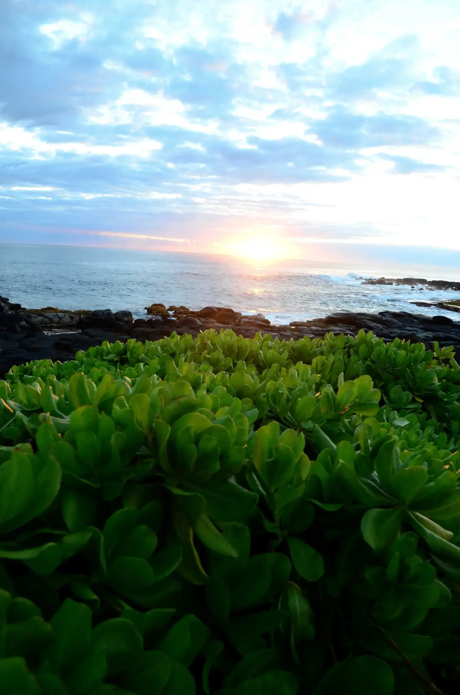 Kauai Sunrise by Evelyn Trulen