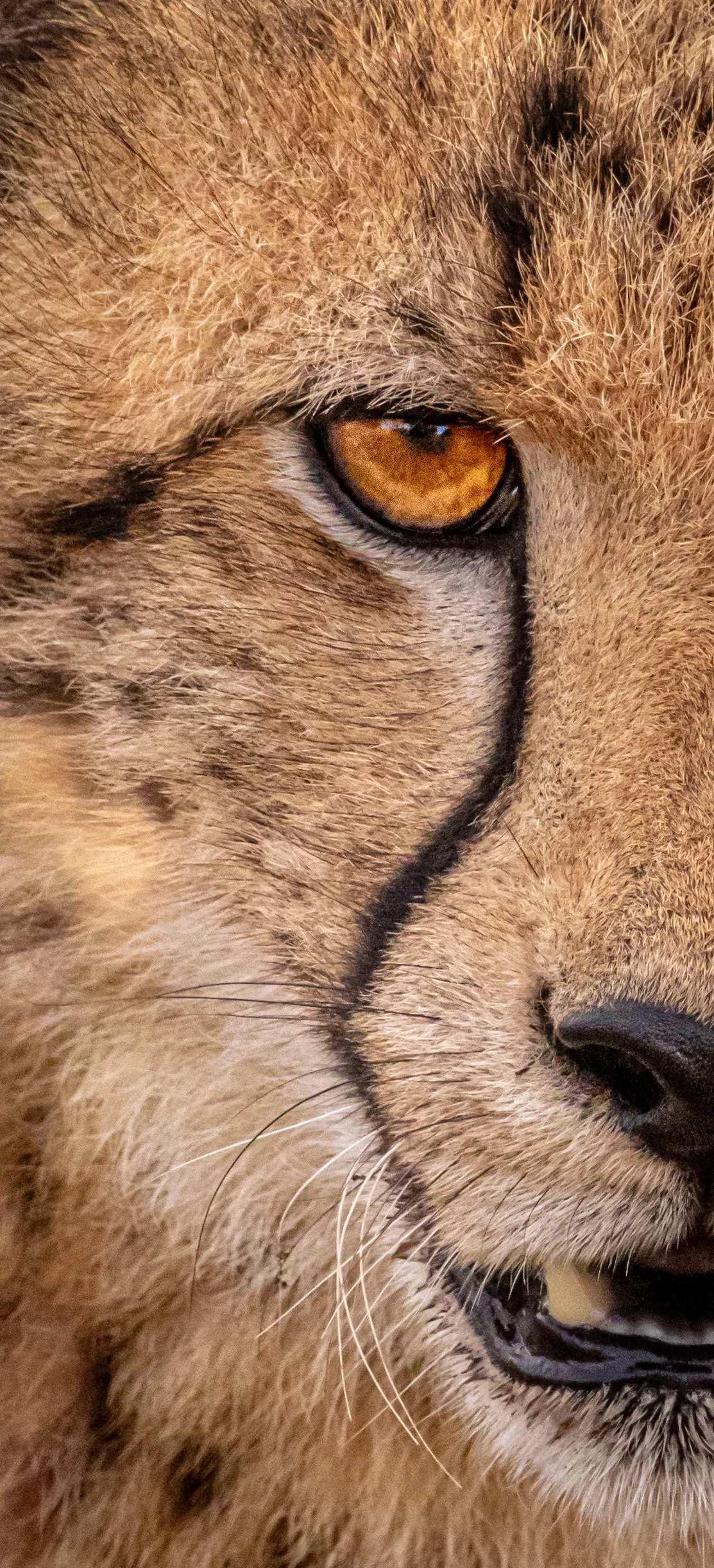 Photograph by Ryan Grobler