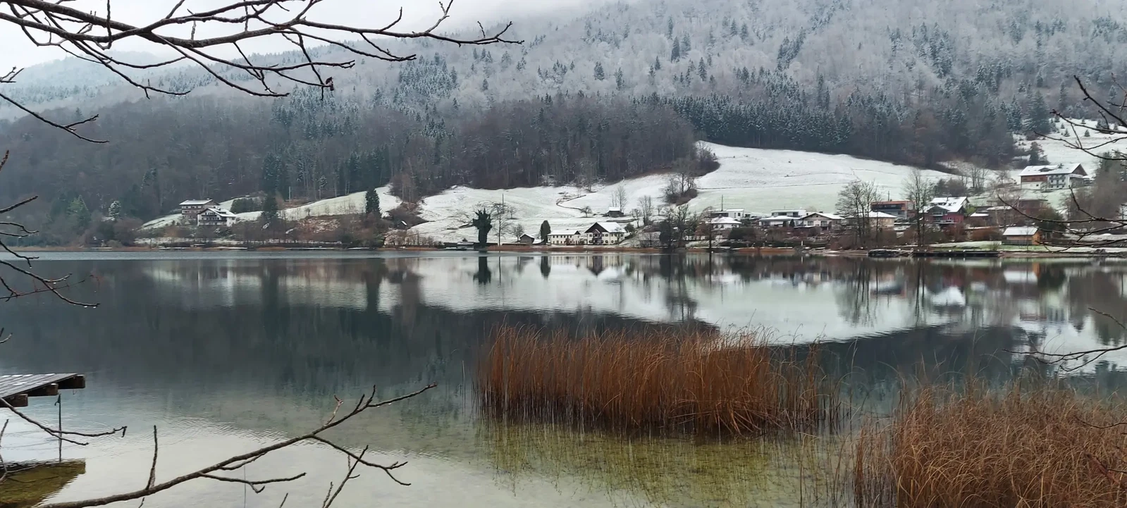 Photograph by Susanne Maddaluno