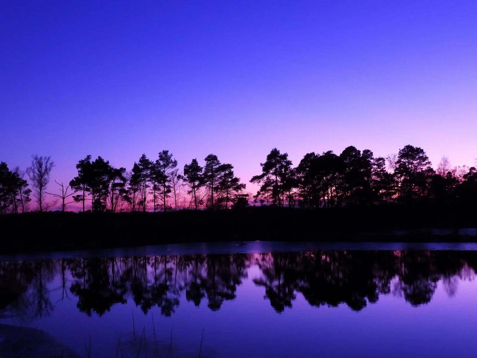 Reflections of Silence by Melanie Welling