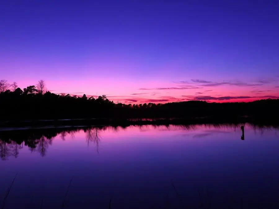 purple access to oneself by Melanie Welling