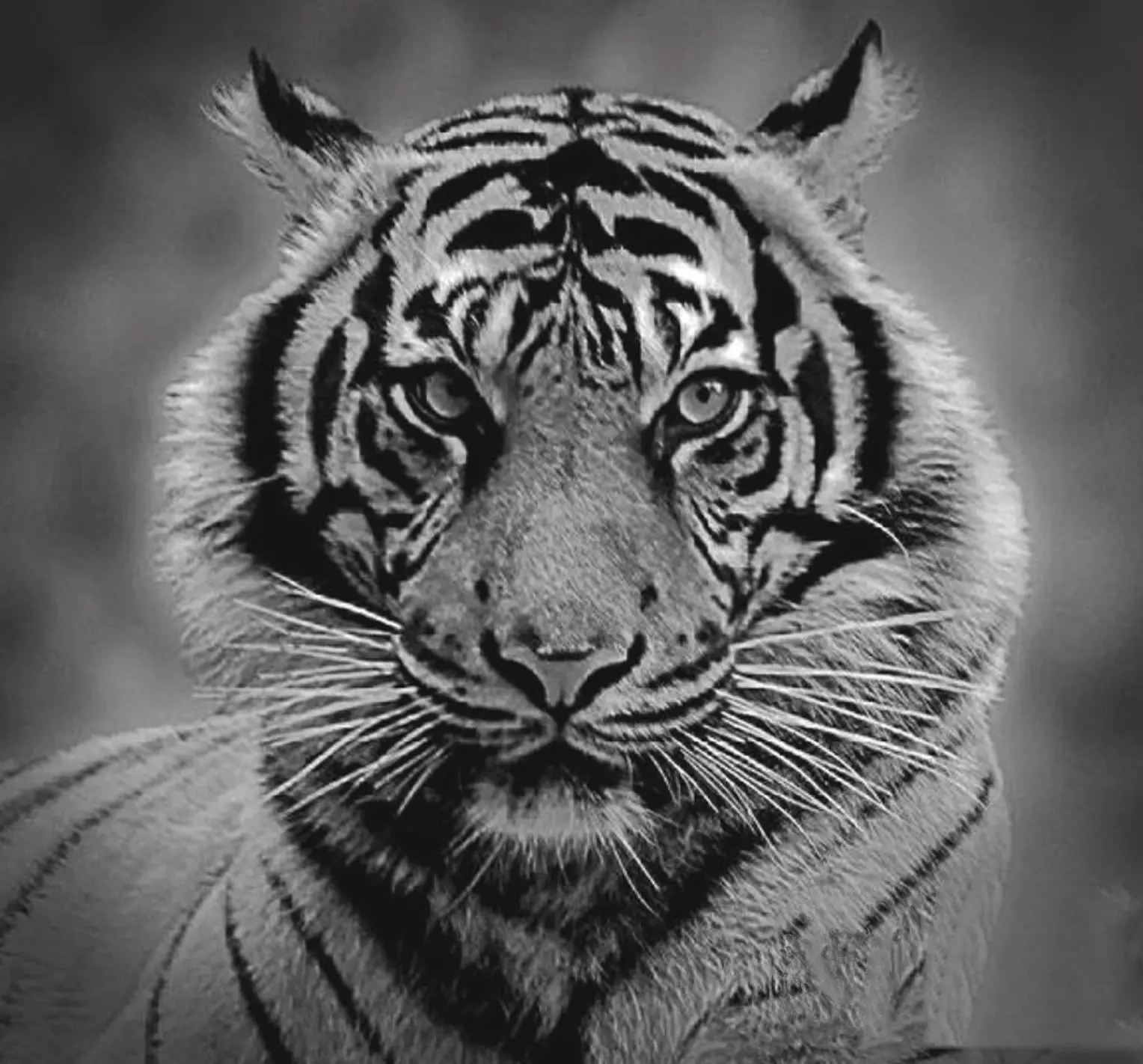 Photograph by dyanne klinko