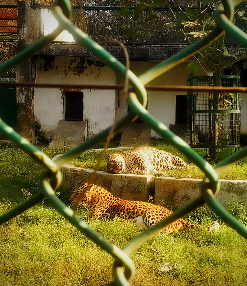 Photograph by Khushi Kumari