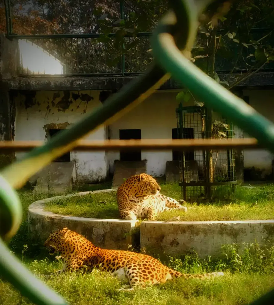 Photograph by Khushi Kumari