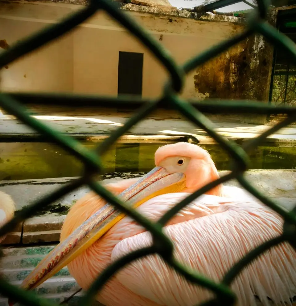 Photograph by Khushi Kumari