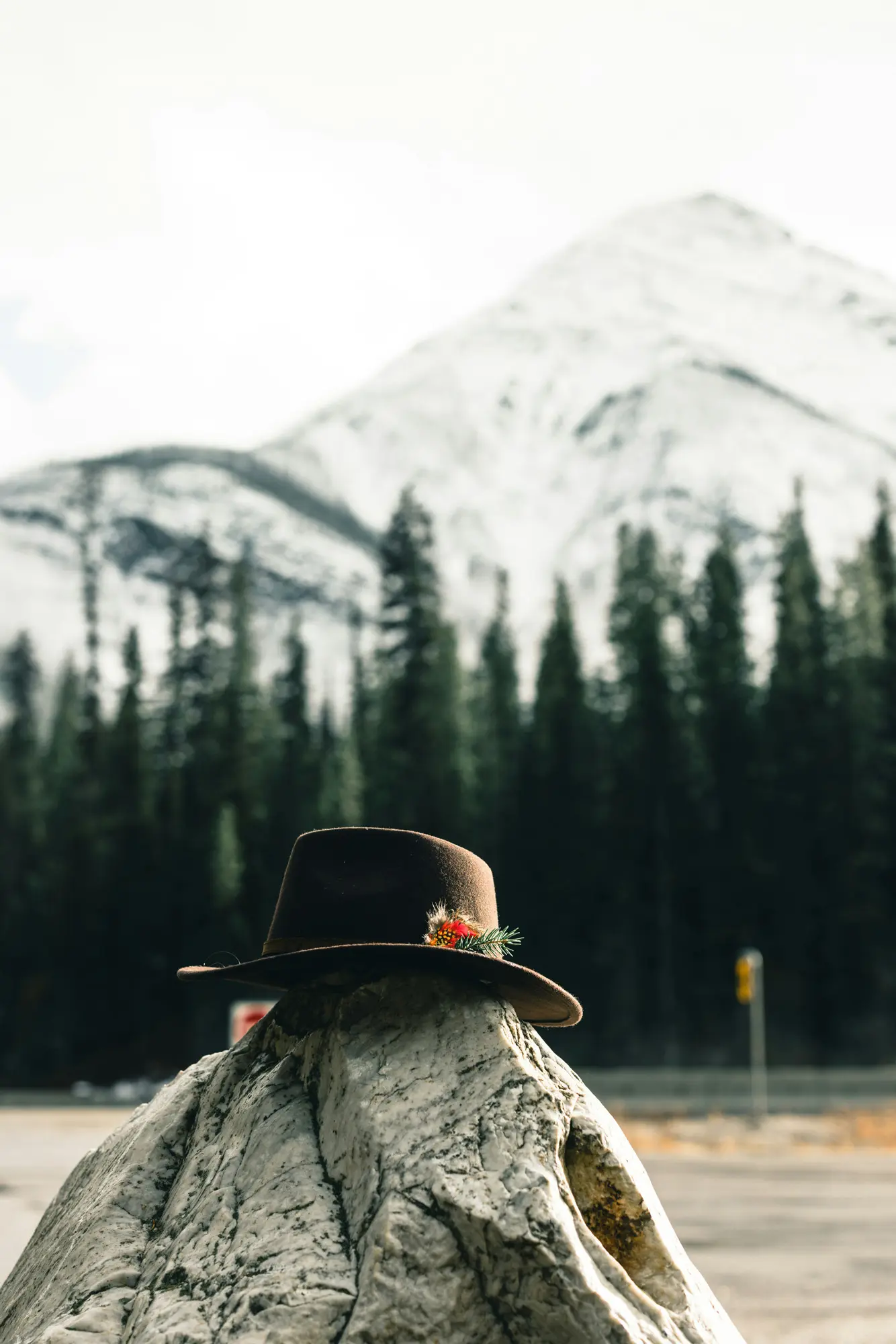 Into the West by Claire Voss