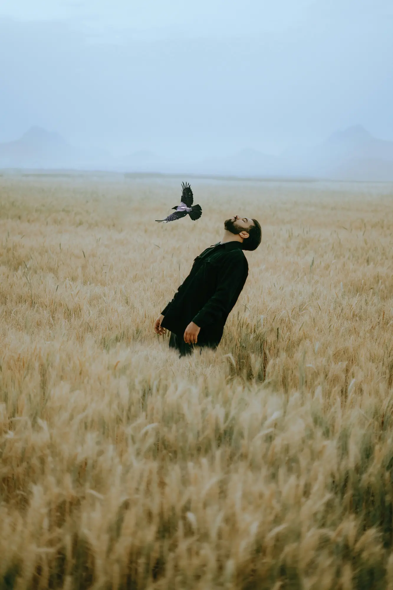 Photograph by Claire Voss