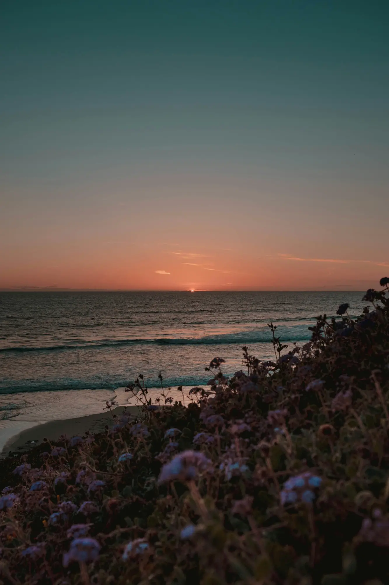 Into the West by Claire Voss