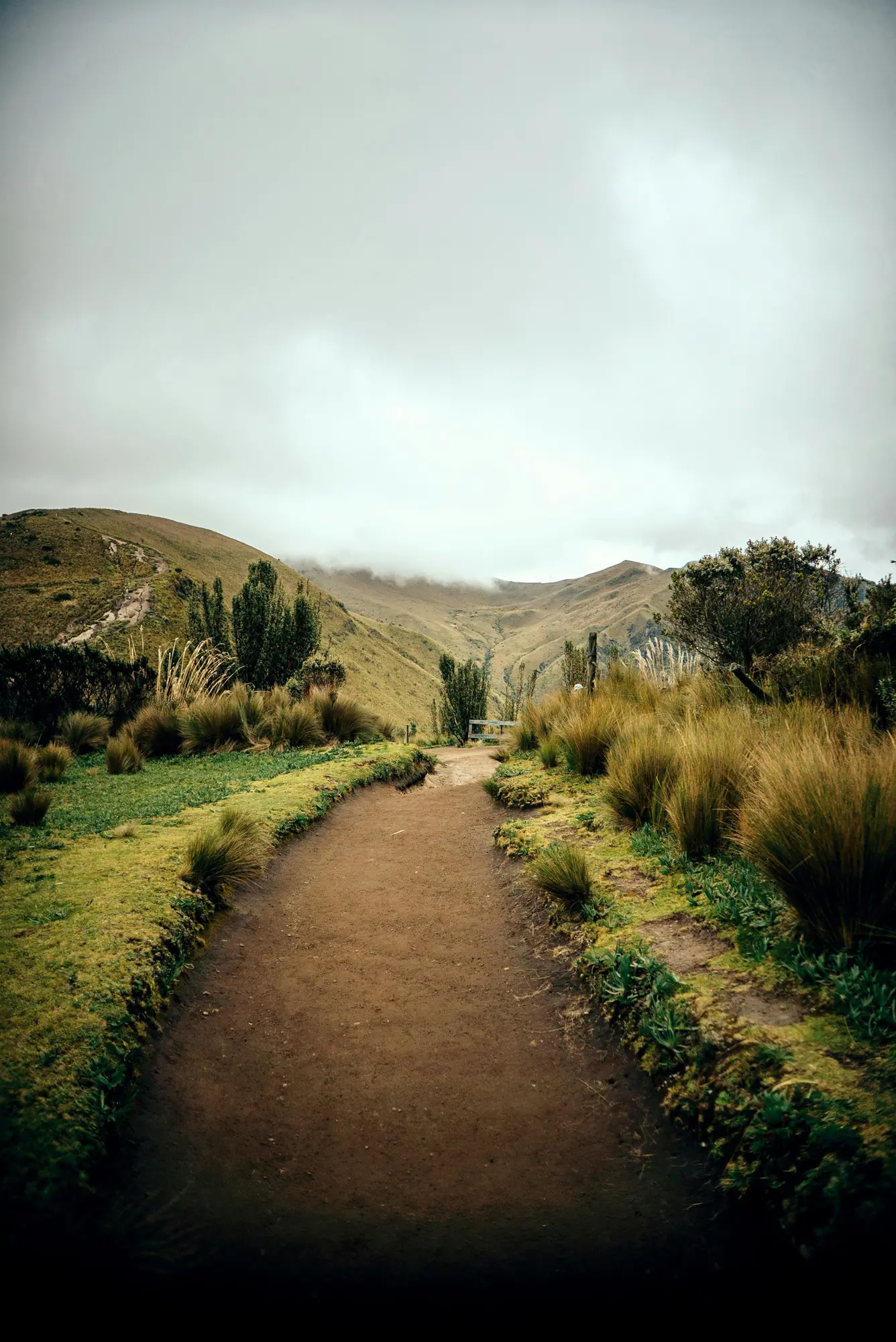 Ecos del Sur by Marco Contini