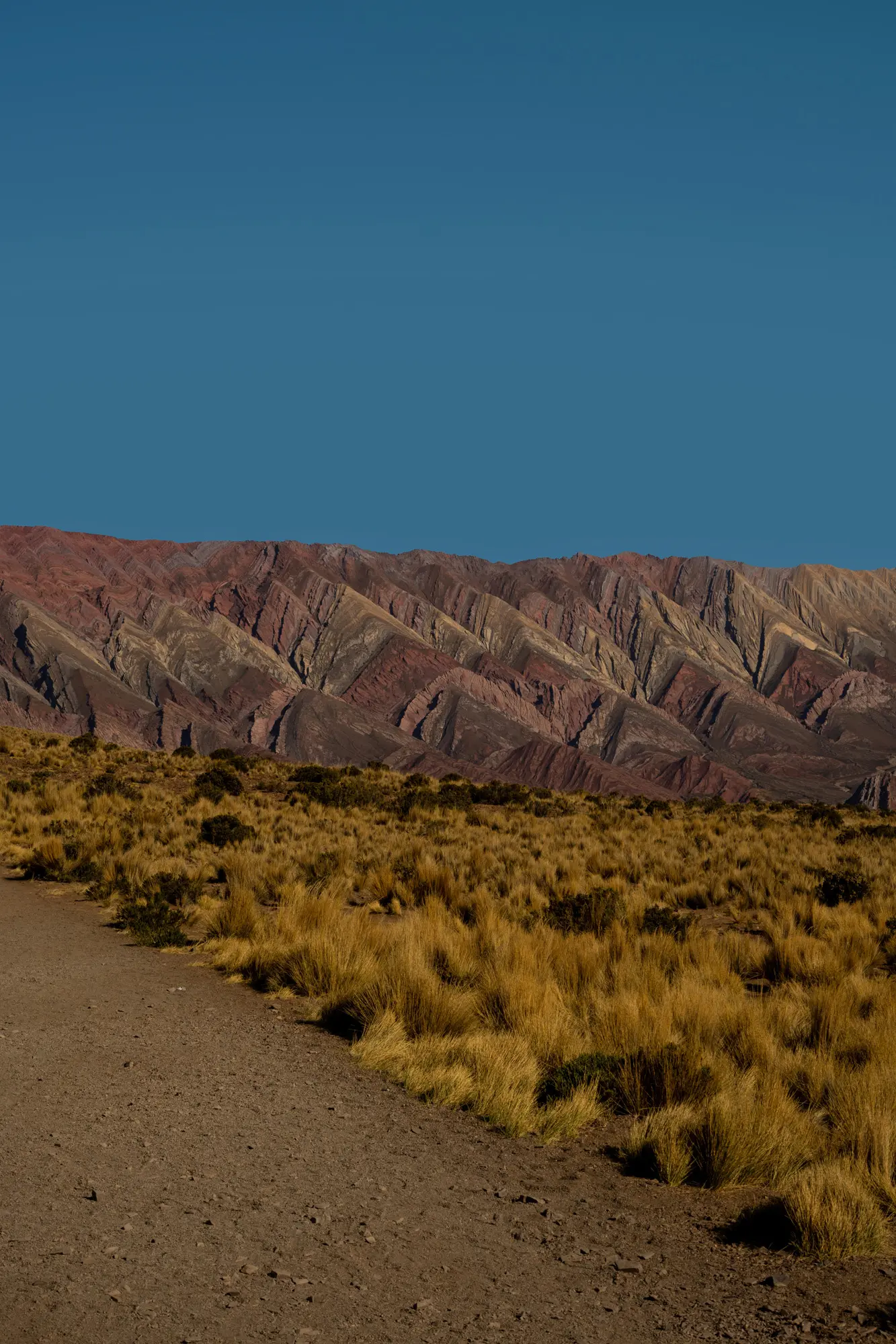 Ecos del Sur by Marco Contini