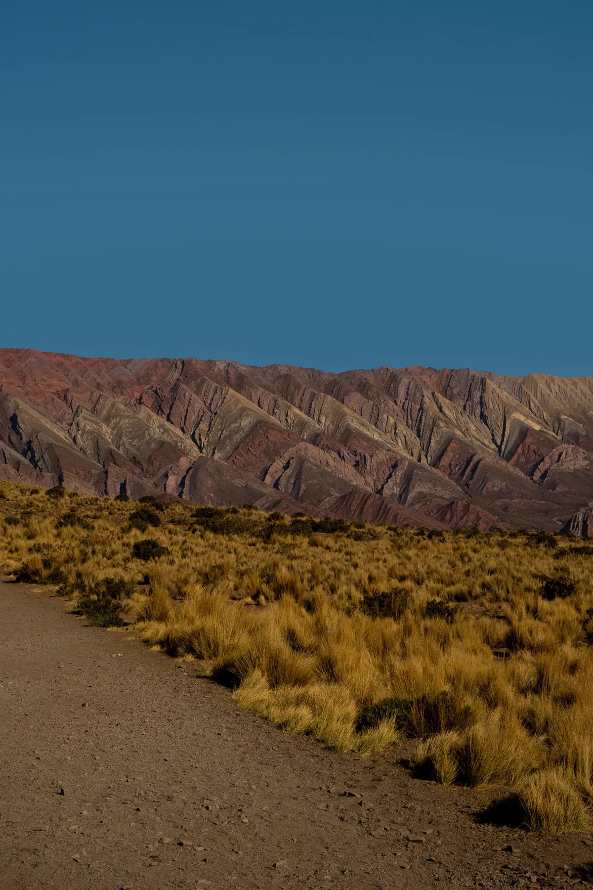 Ecos del Sur by Marco Contini