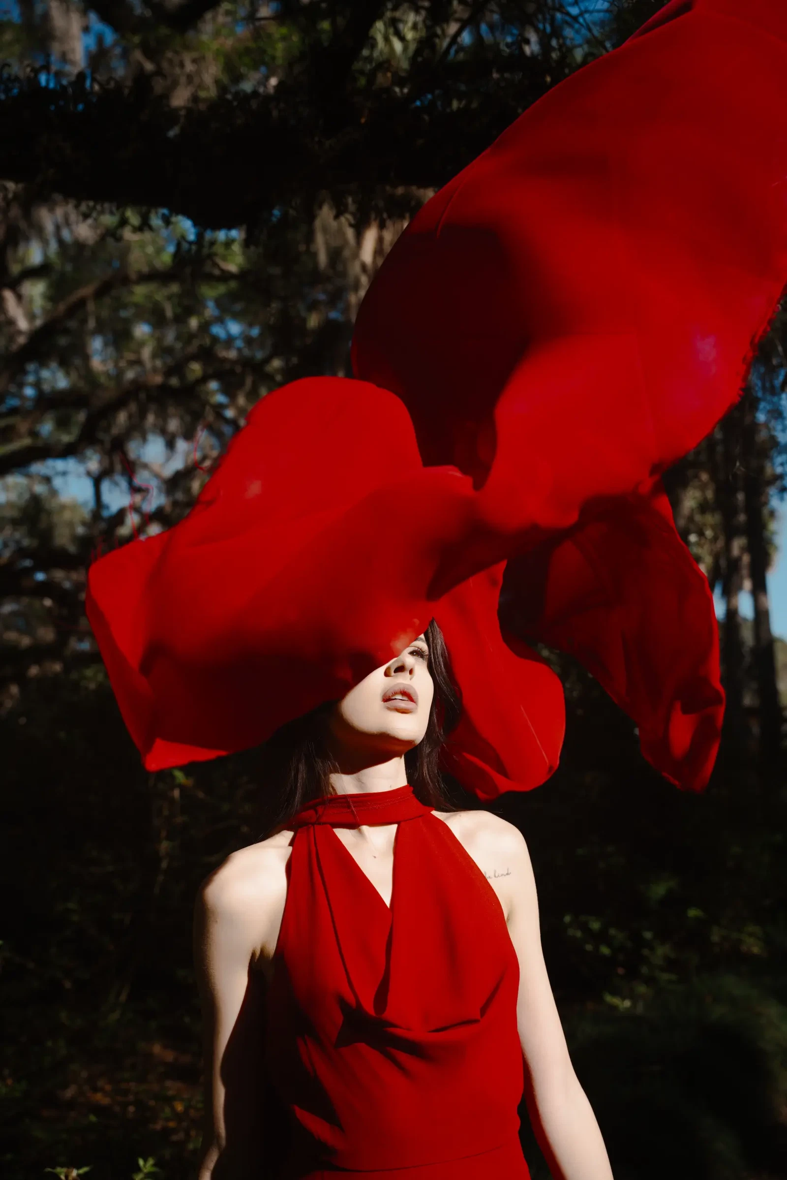 Photograph by Viktoriia Barkov