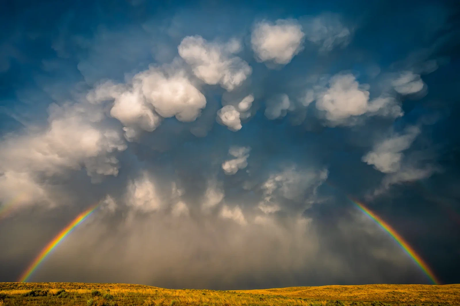 Photograph by Jeremy Janus