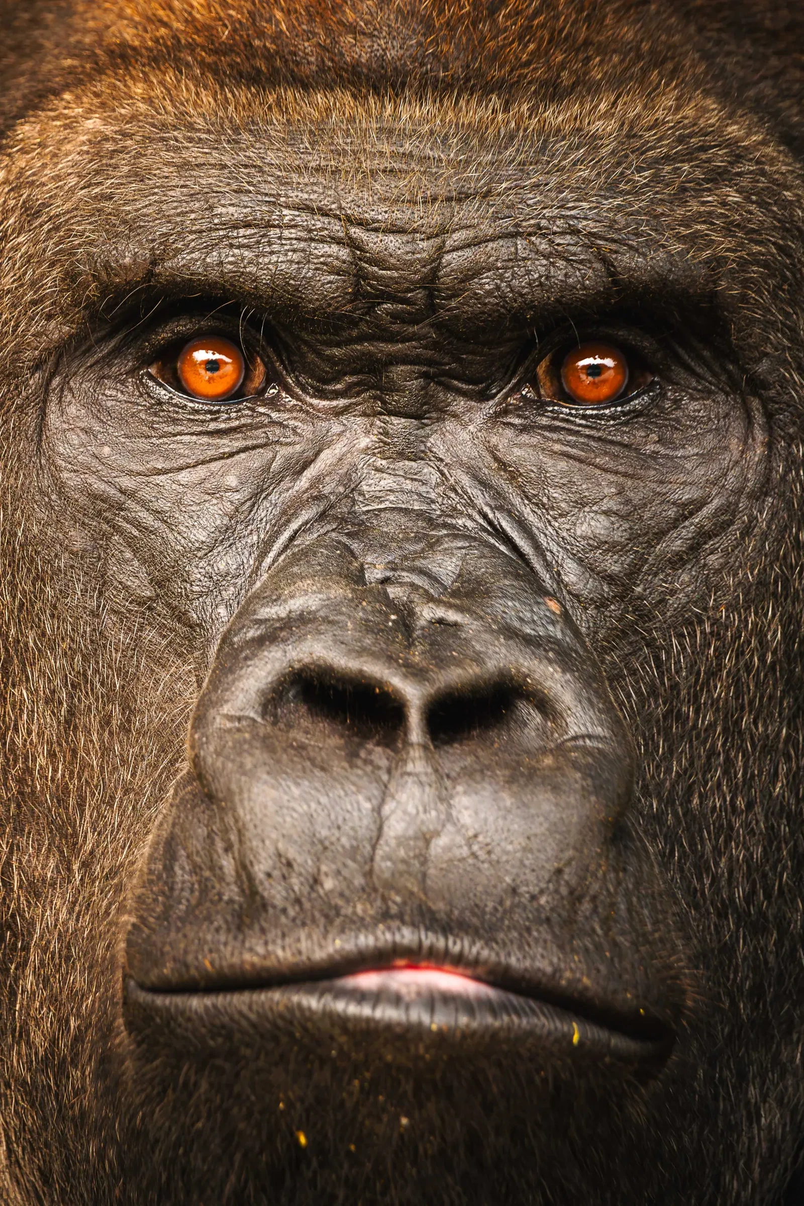 Photograph by Cliff Fawcett