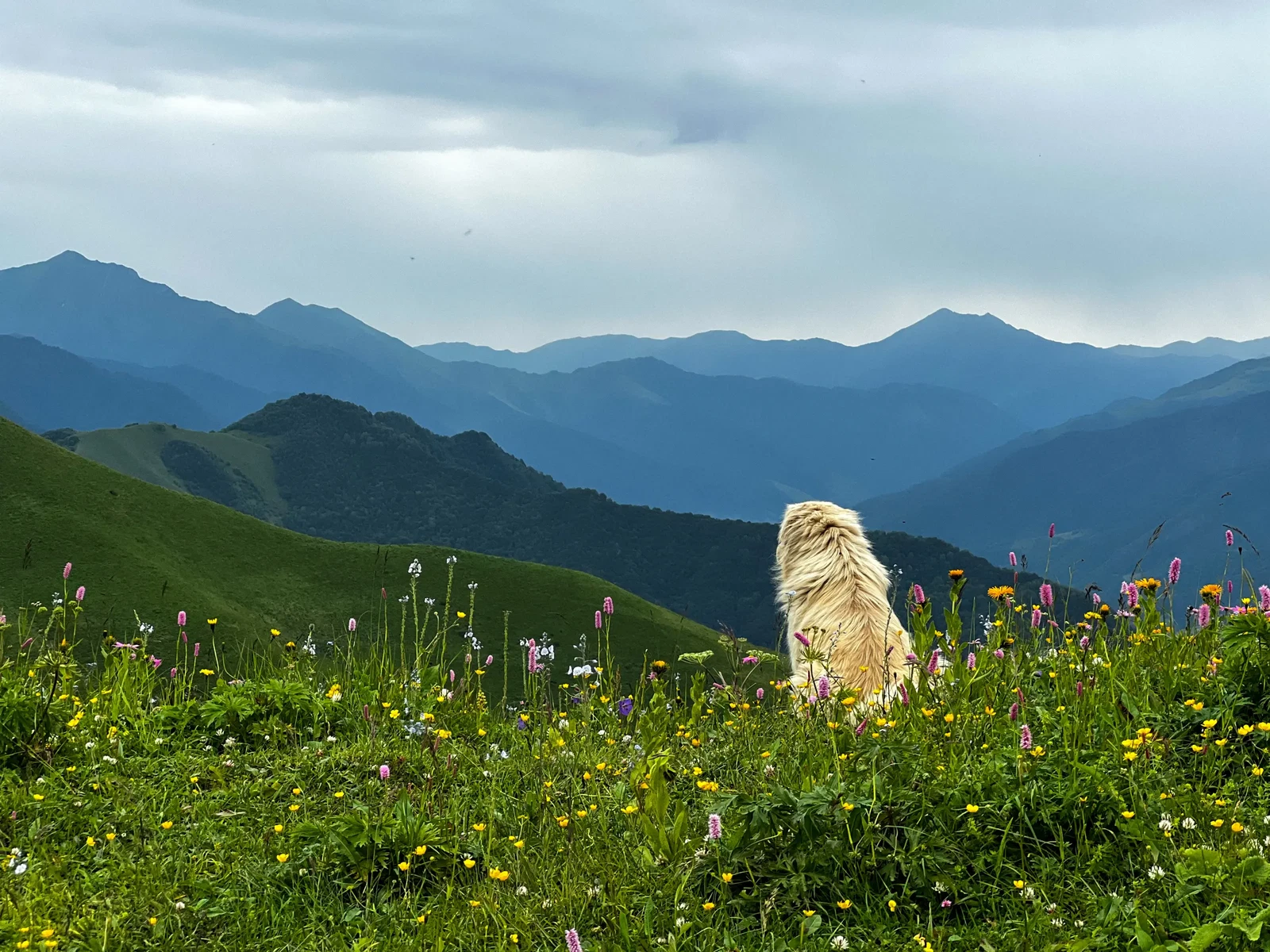 Photograph by Yevhen Vdovychenko