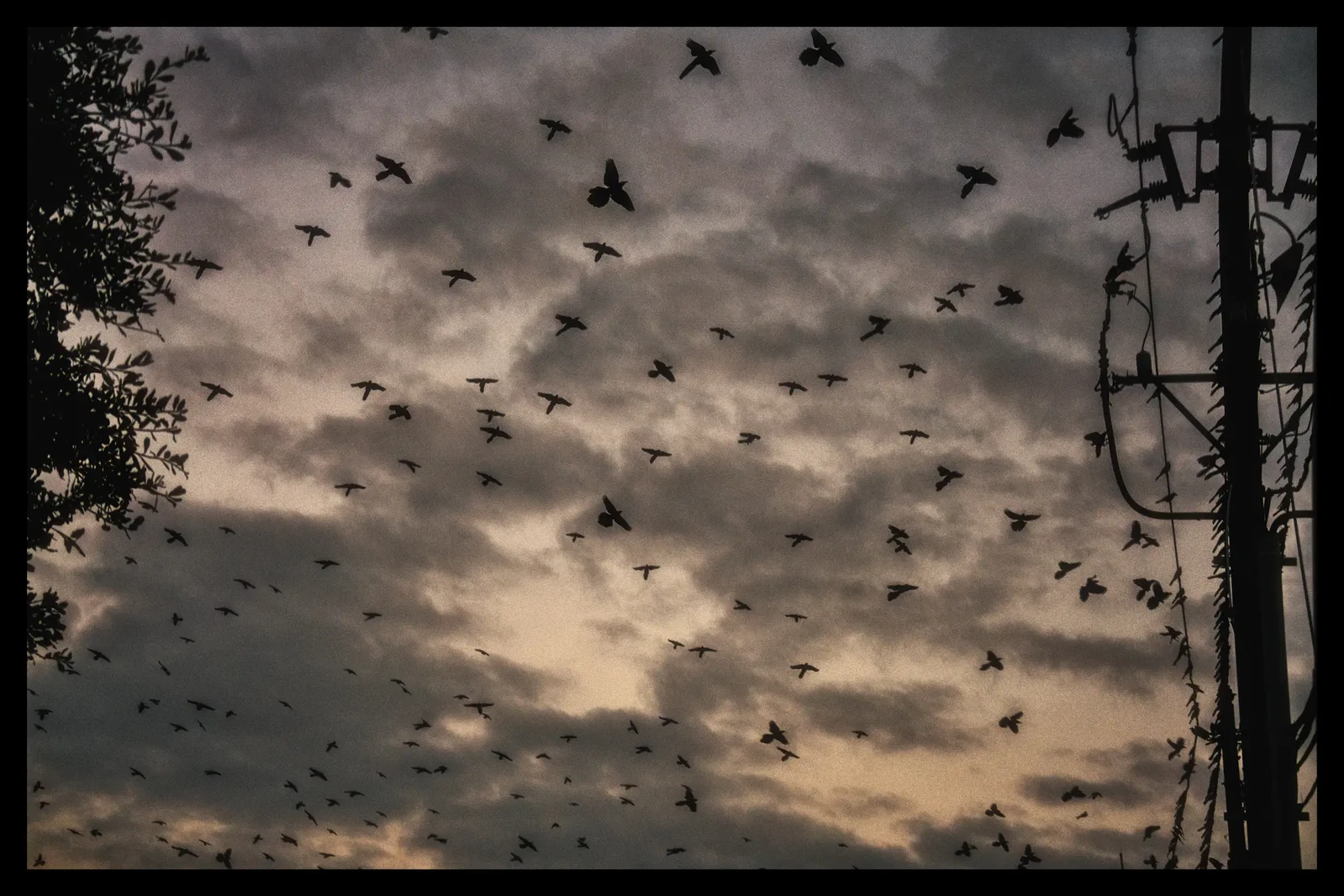 Photograph by Ford Lauron