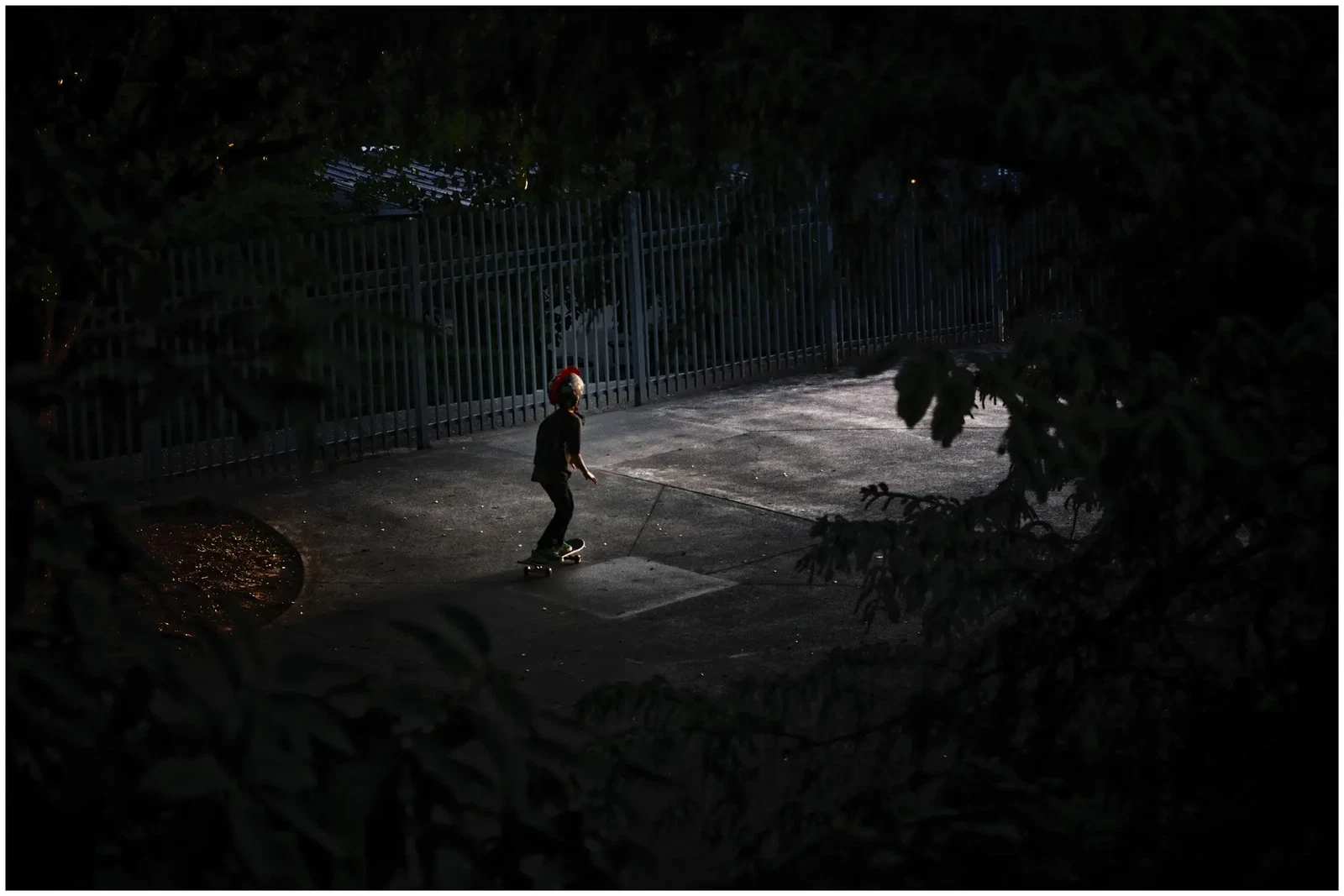 Photograph by Ford Lauron