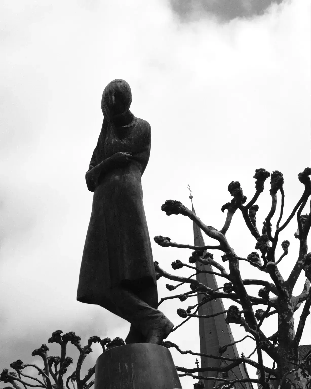 the quiet witness by ravynne-wood