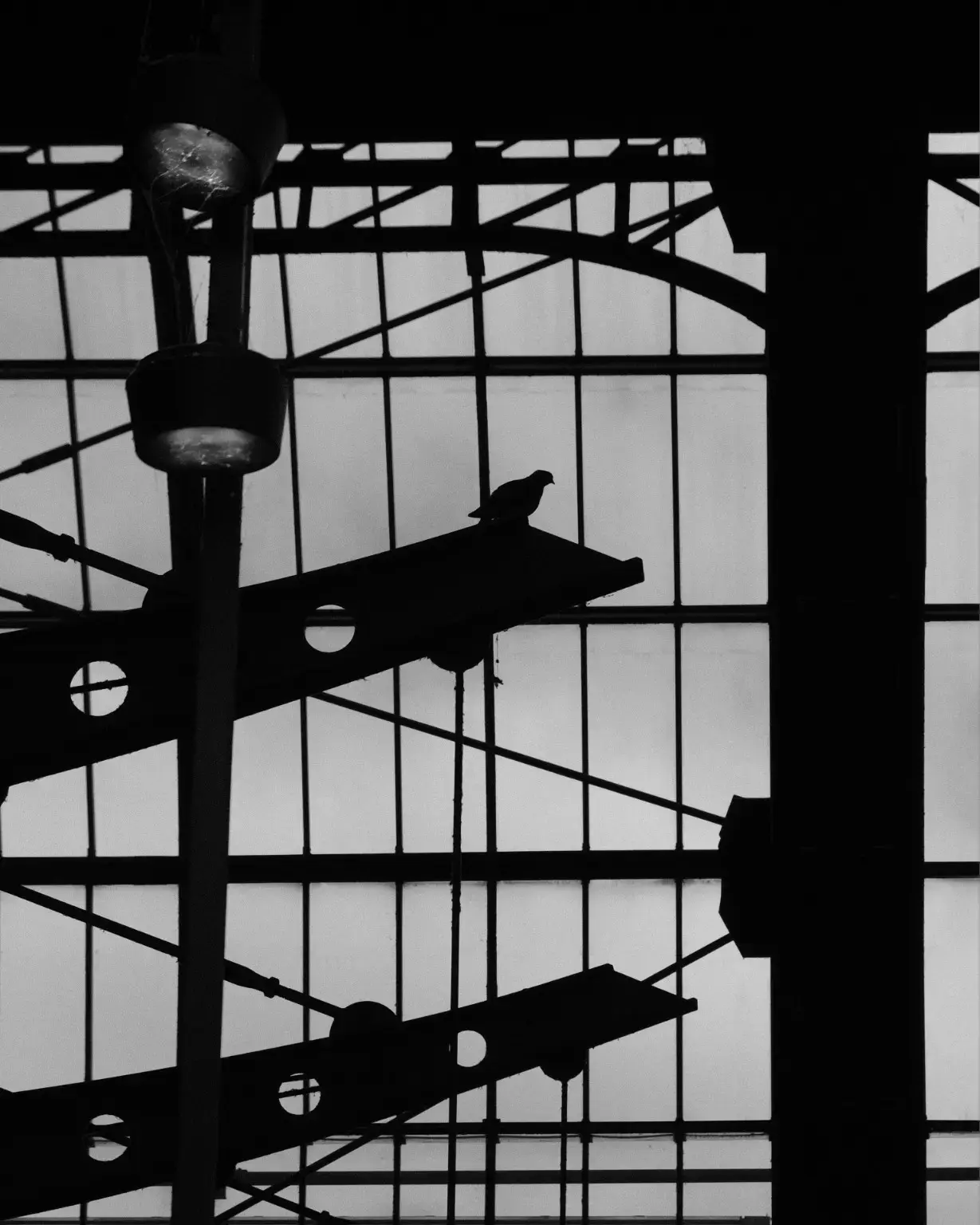 inside the grid by ravynne-wood