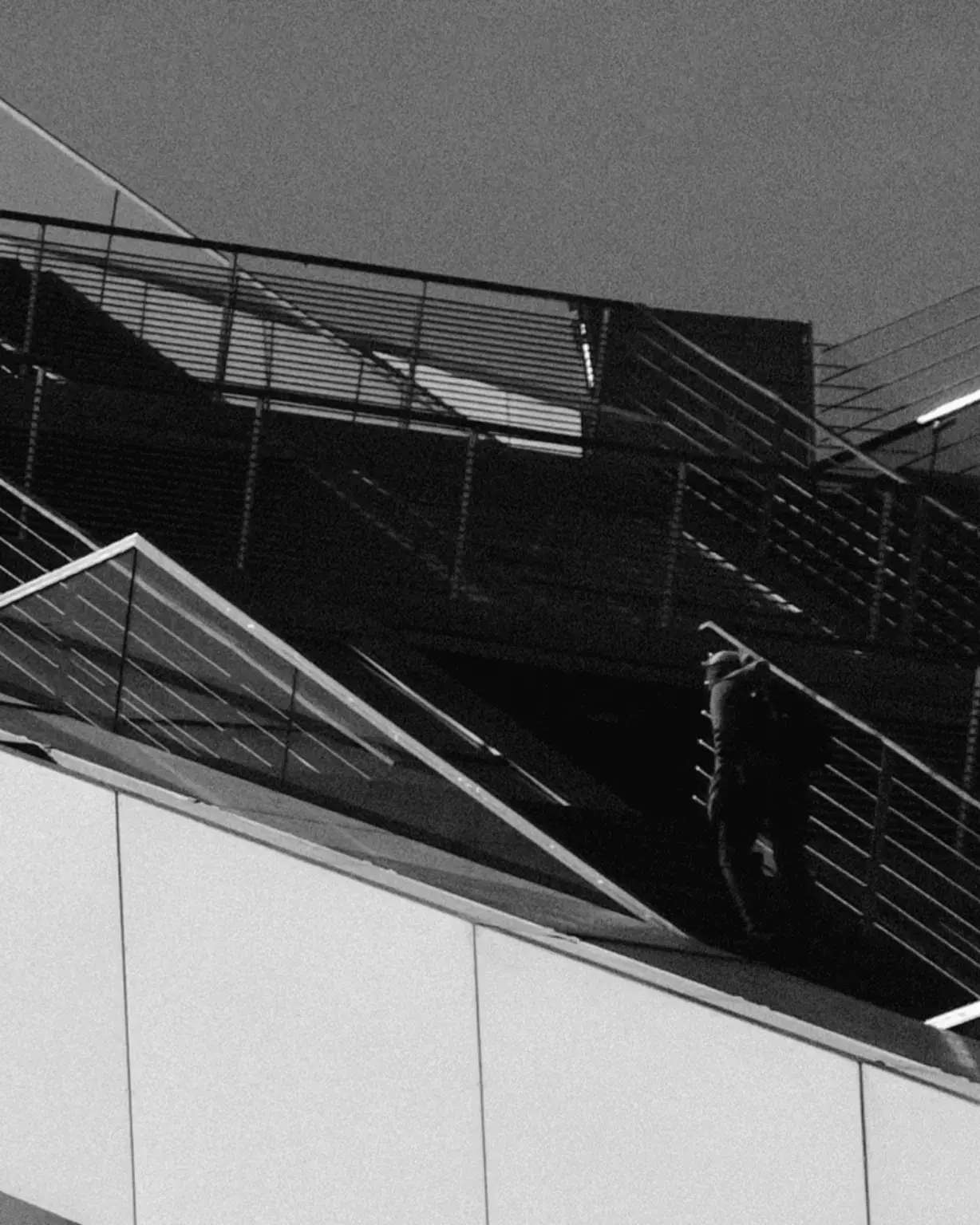 lines of ascent by ravynne-wood