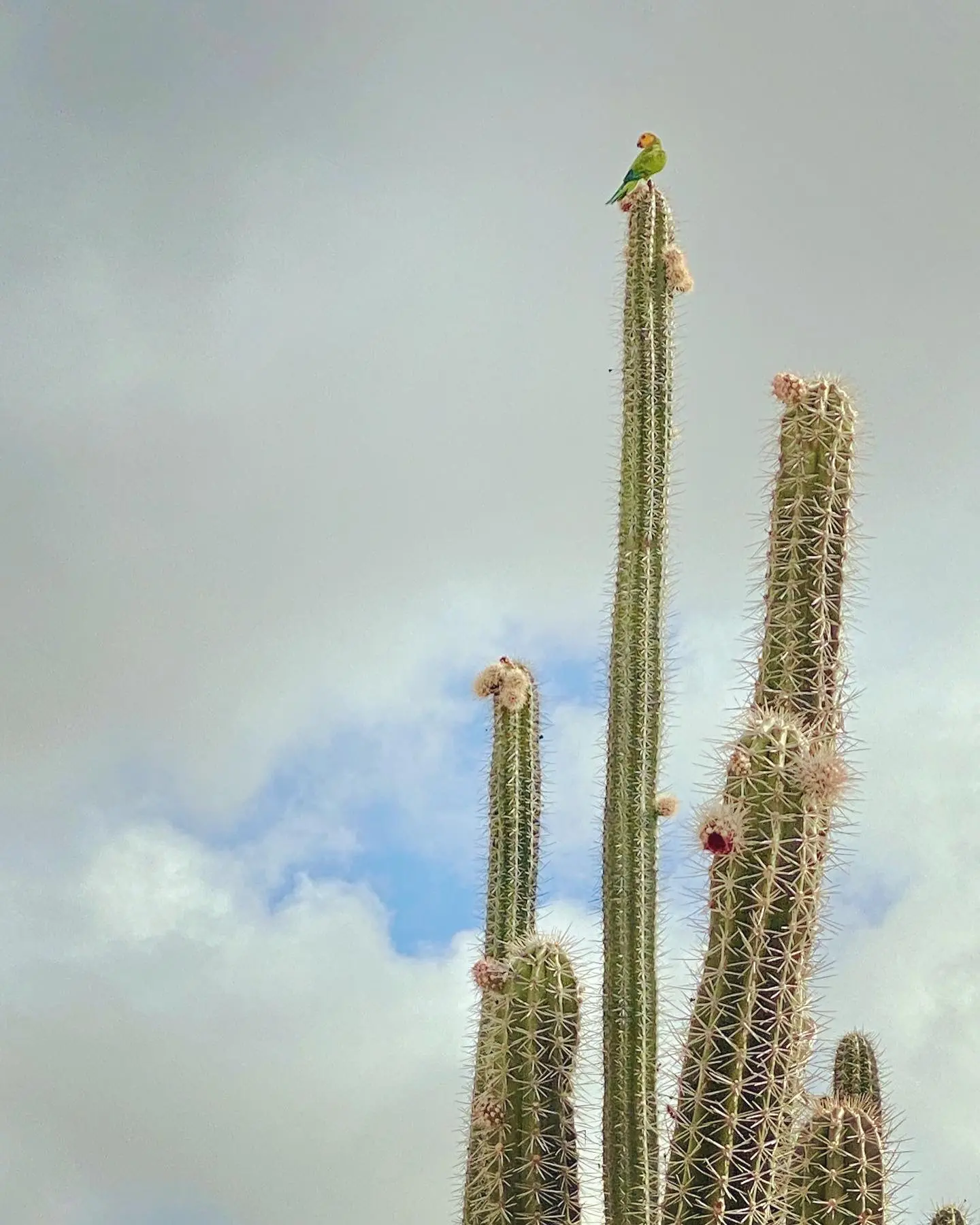 Photograph by kristen-poe-miller