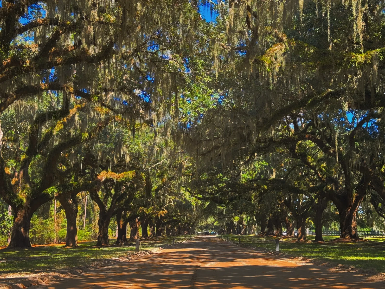 Charleston by Kristen Poe Miller