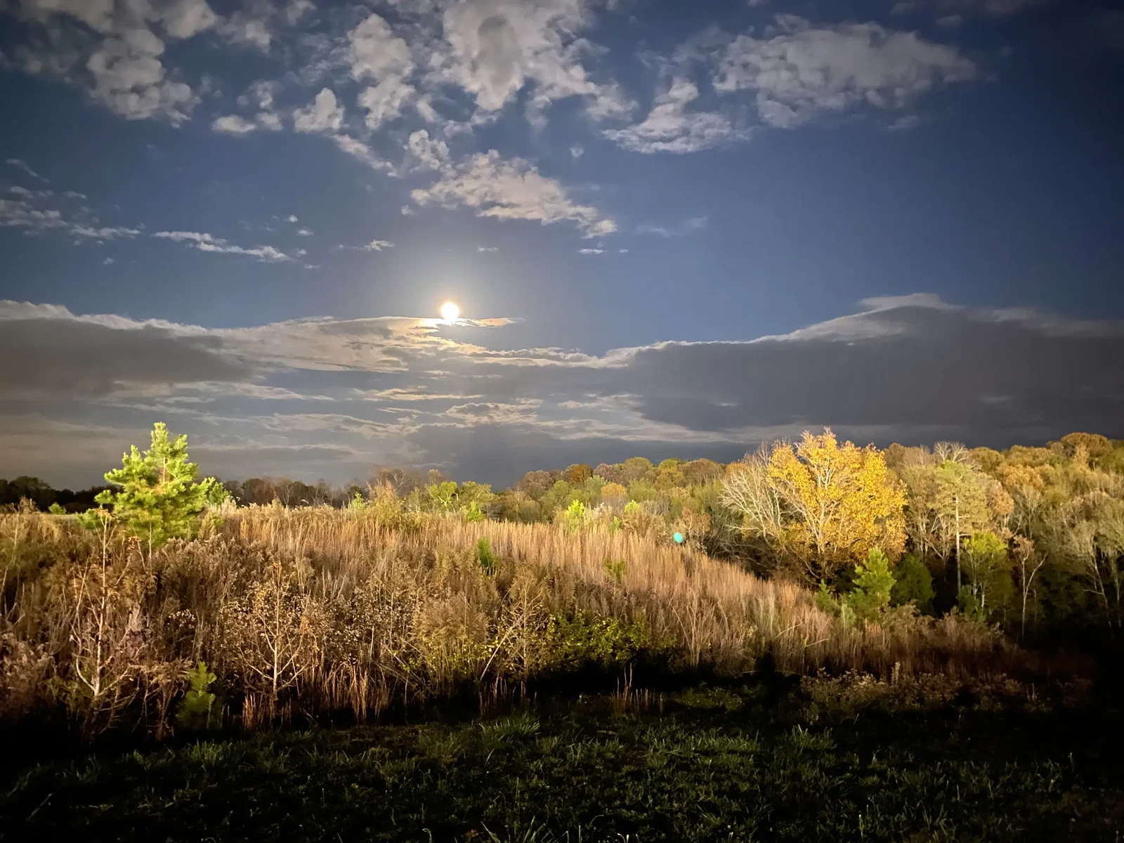Greenville, SC by Kristen Poe Miller