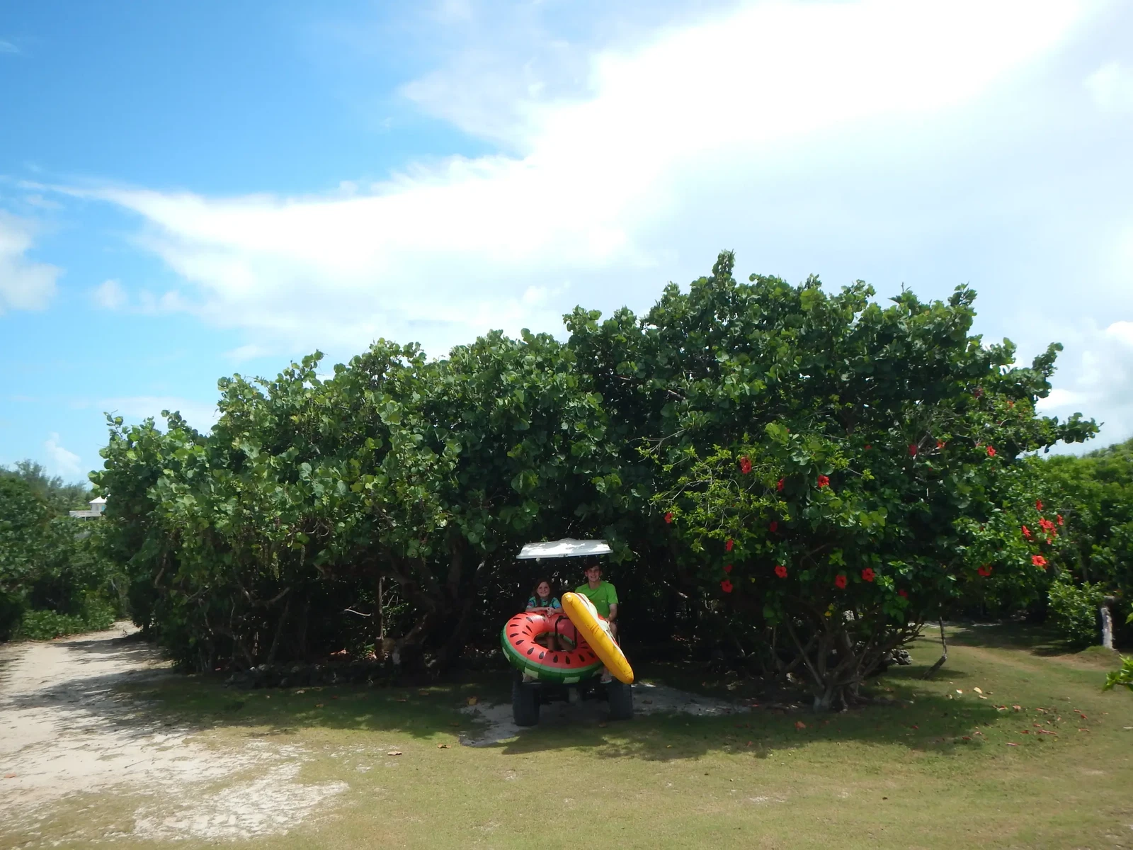 Green Turtle Cay by Kristen Poe Miller