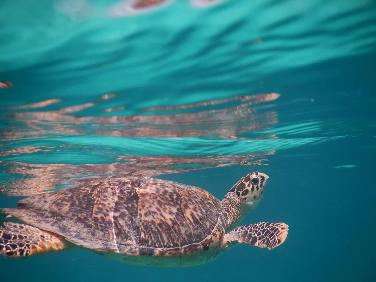St. John, USVI by Kristen Poe Miller