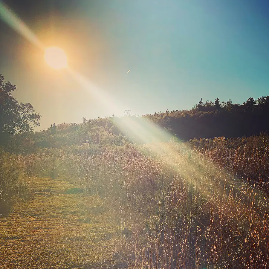 Greenville, SC by Kristen Poe Miller