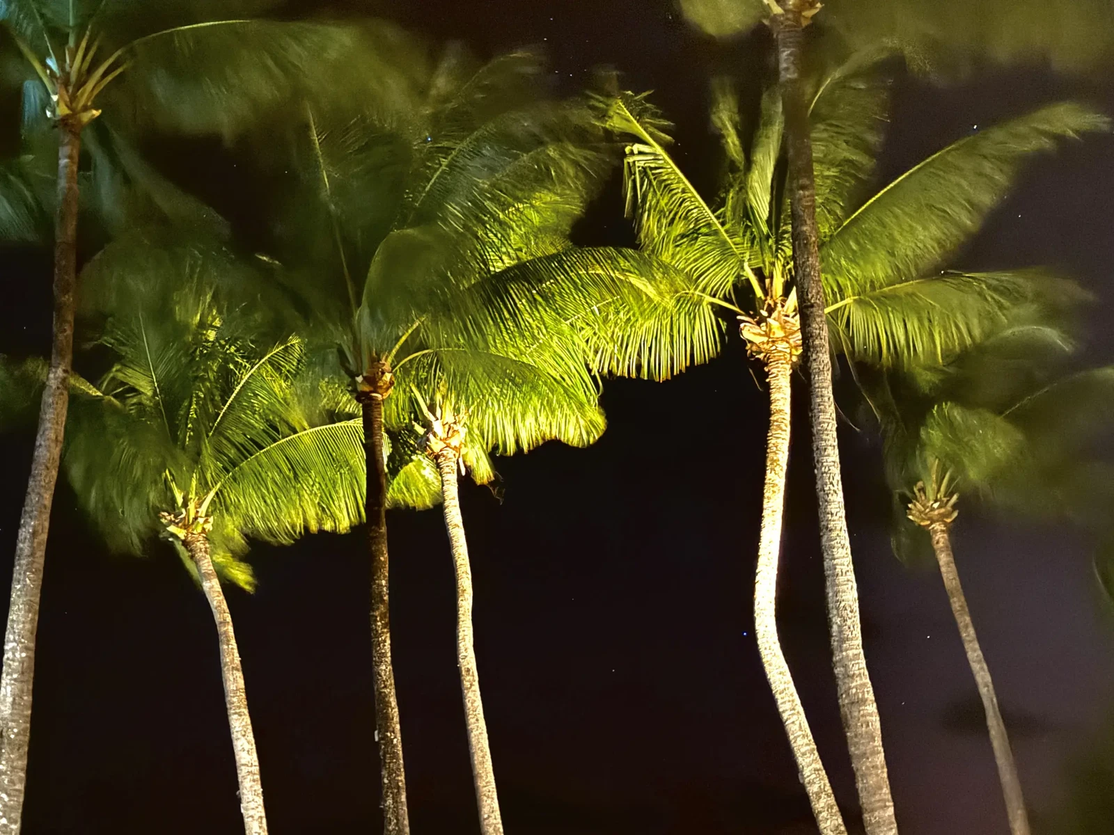 Rangiroa by Kristen Poe Miller