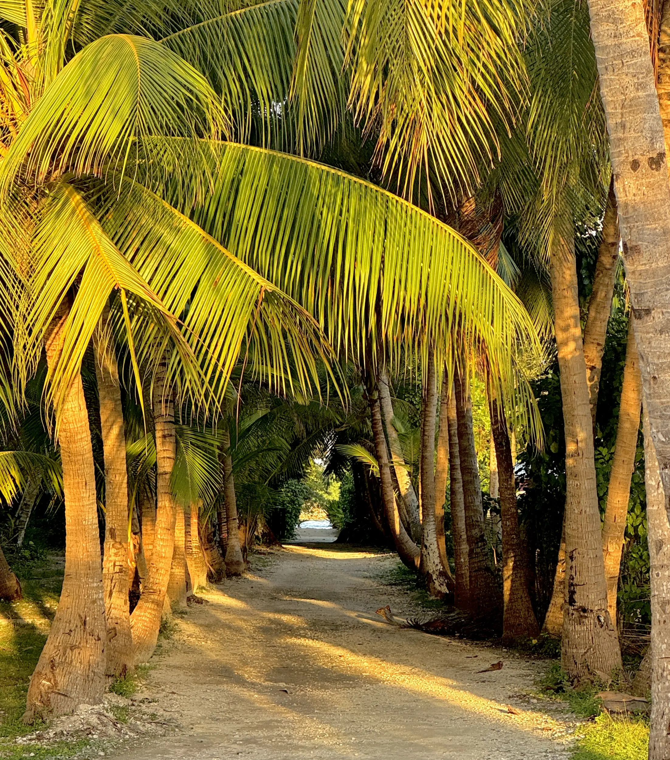 Rangiroa by Kristen Poe Miller