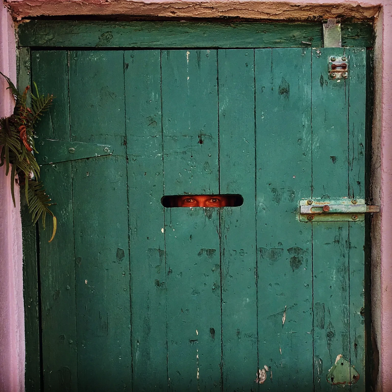 Photograph by kristen-poe-miller