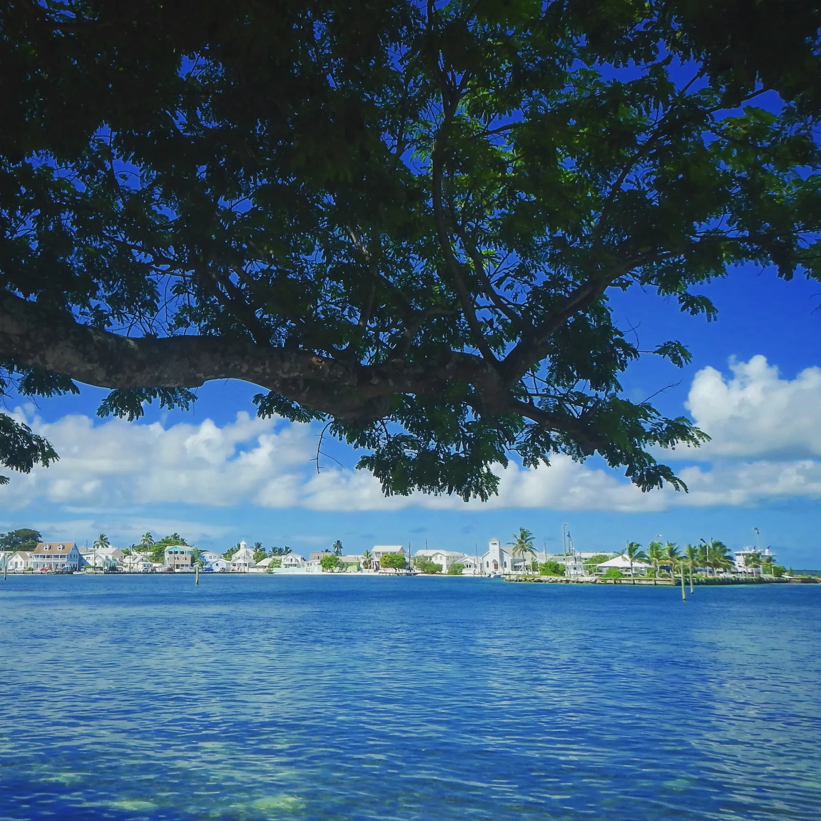 Green Turtle Cay by Kristen Poe Miller