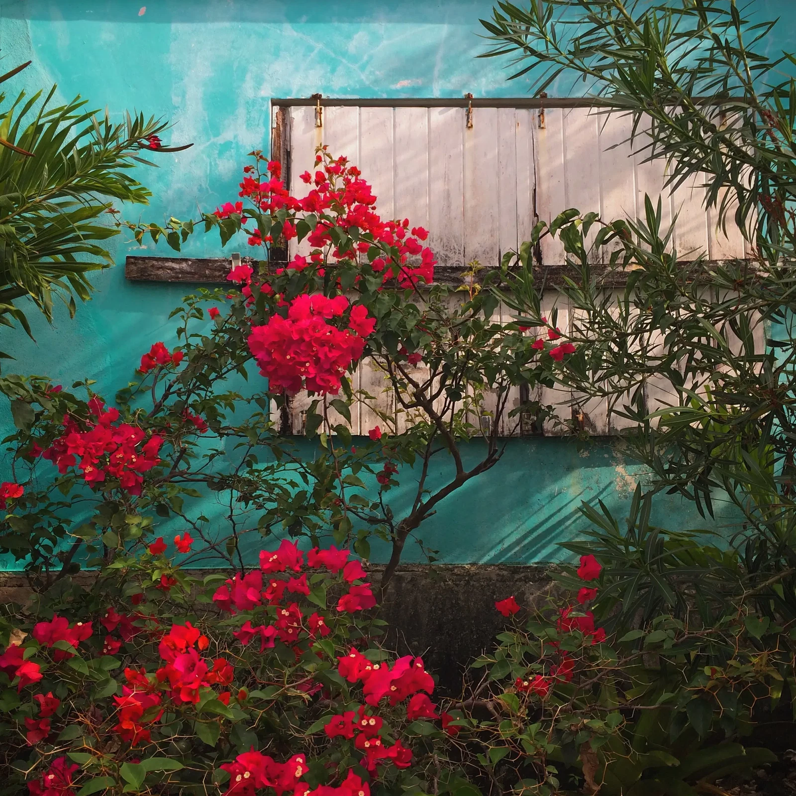 Spanish Wells, Eleuthera by Kristen Poe Miller