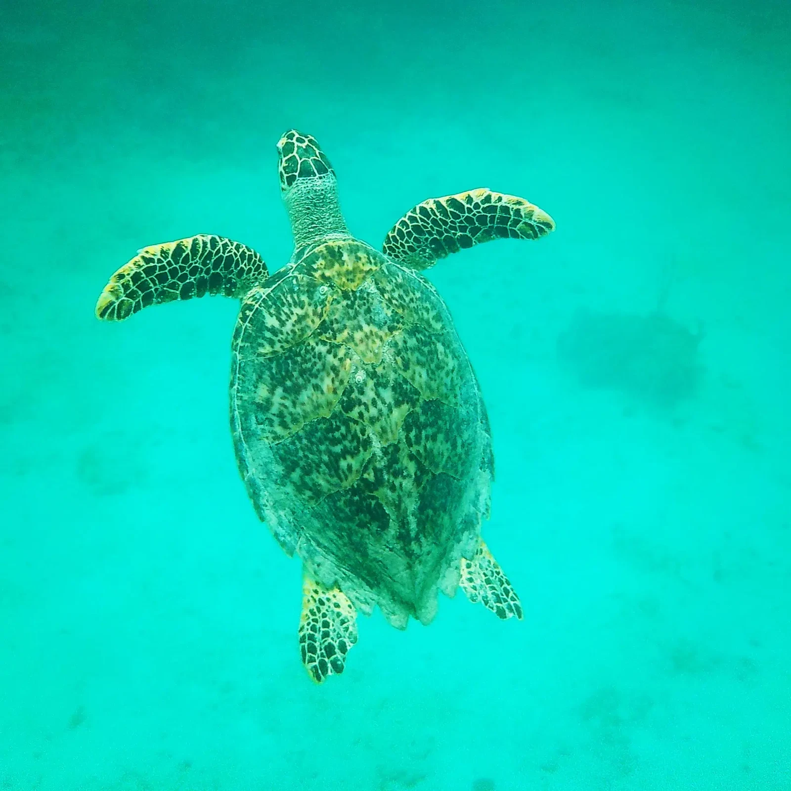 St. John, USVI by Kristen Poe Miller