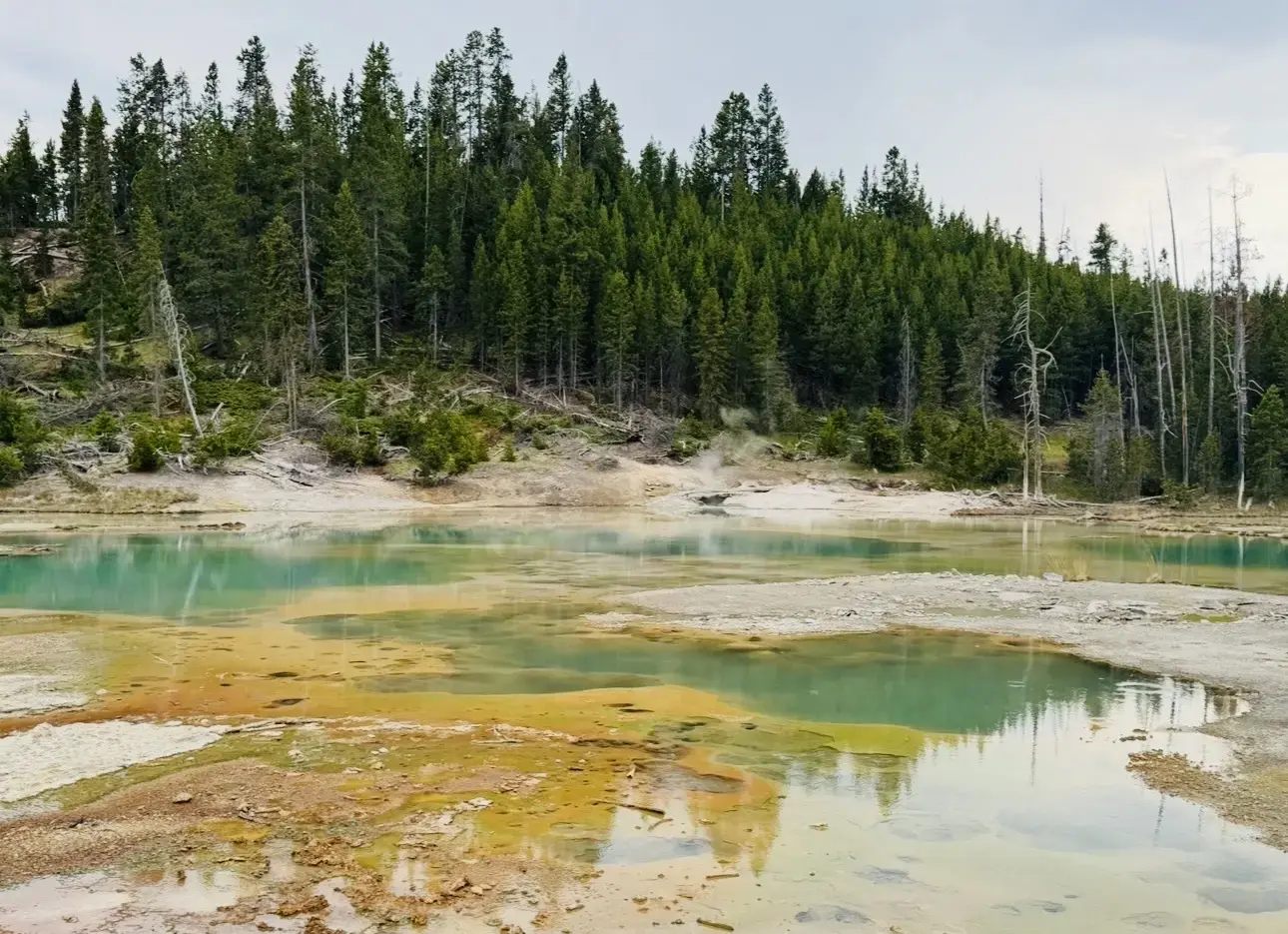 Jewels of Yellowstone by Lisa Schupbach