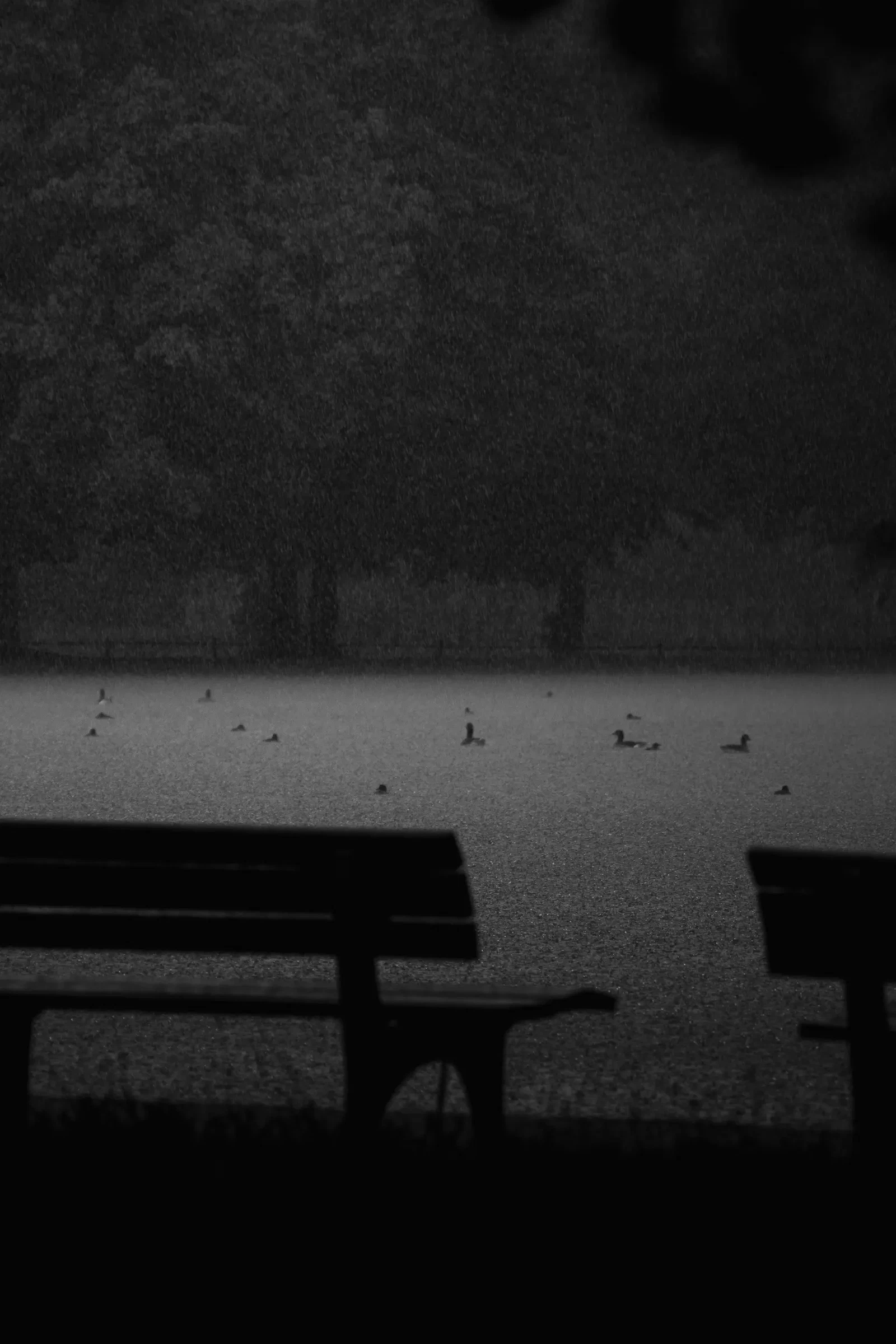 Photograph by Andrea Guo