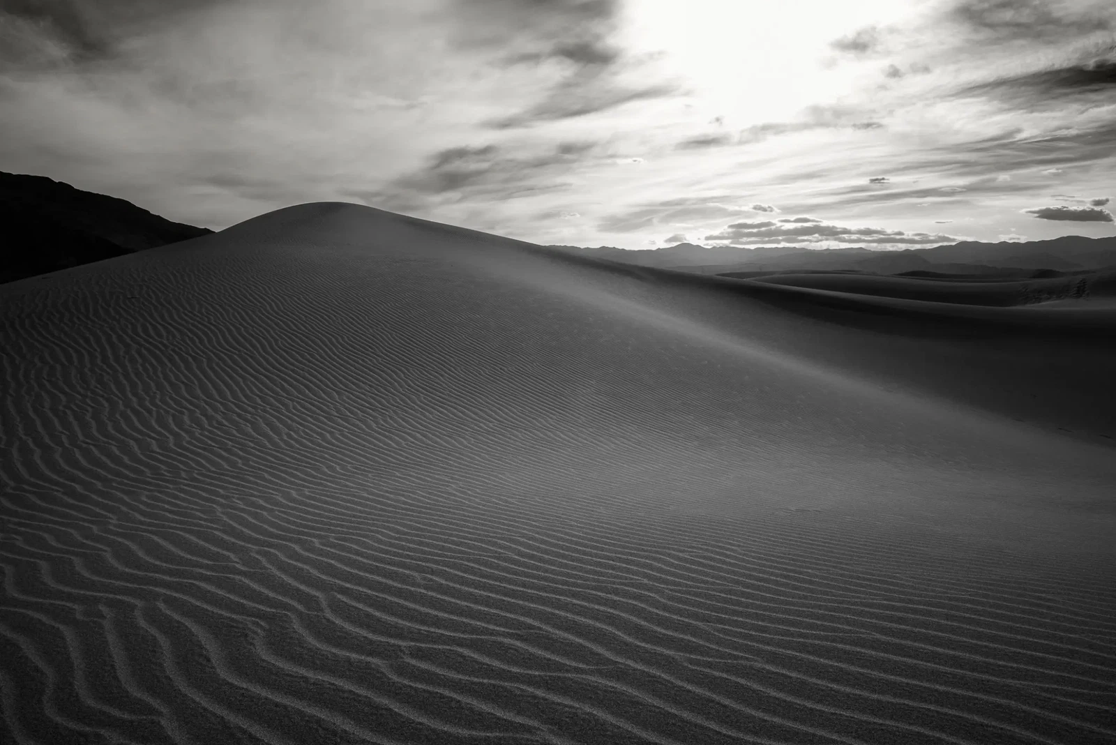 Photograph by Alvin Turner