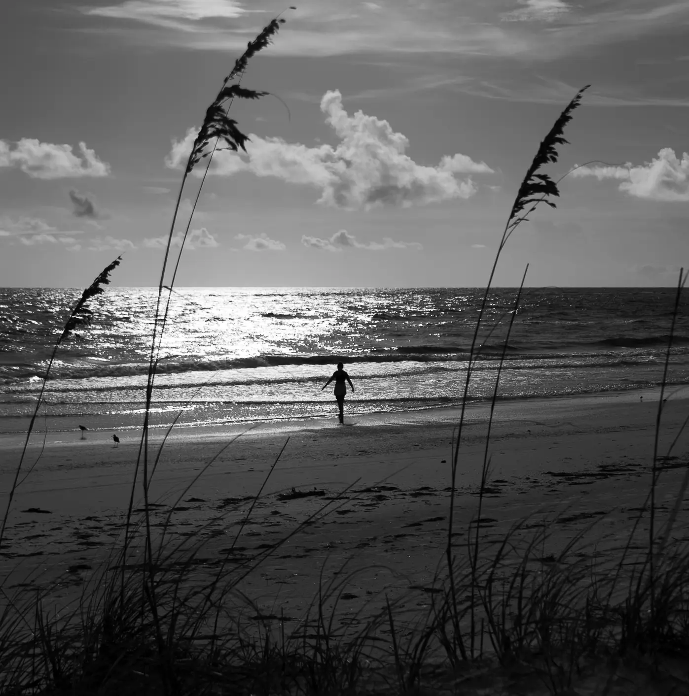 Photograph by Alvin Turner