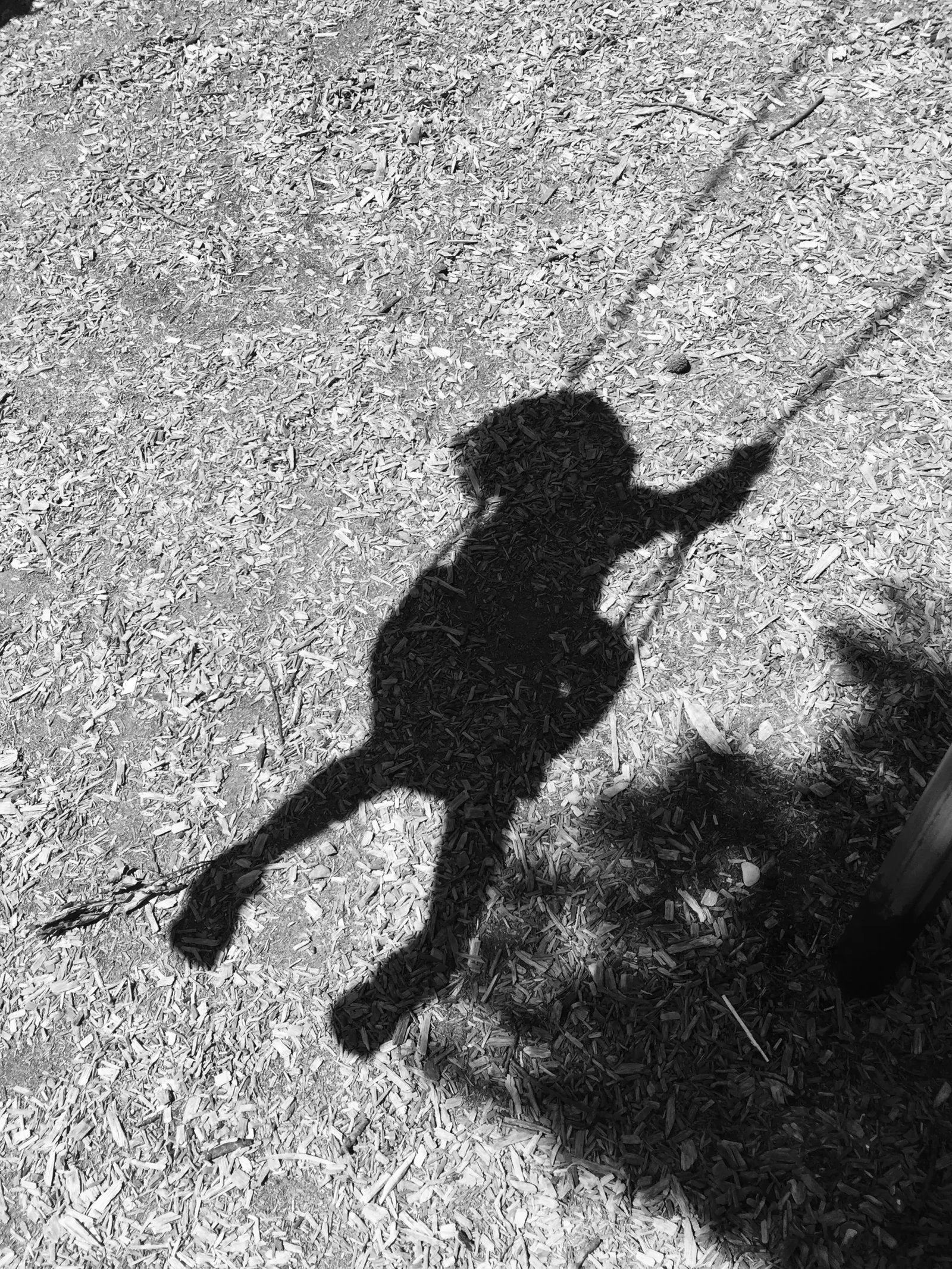 Photograph by Lauren Redman