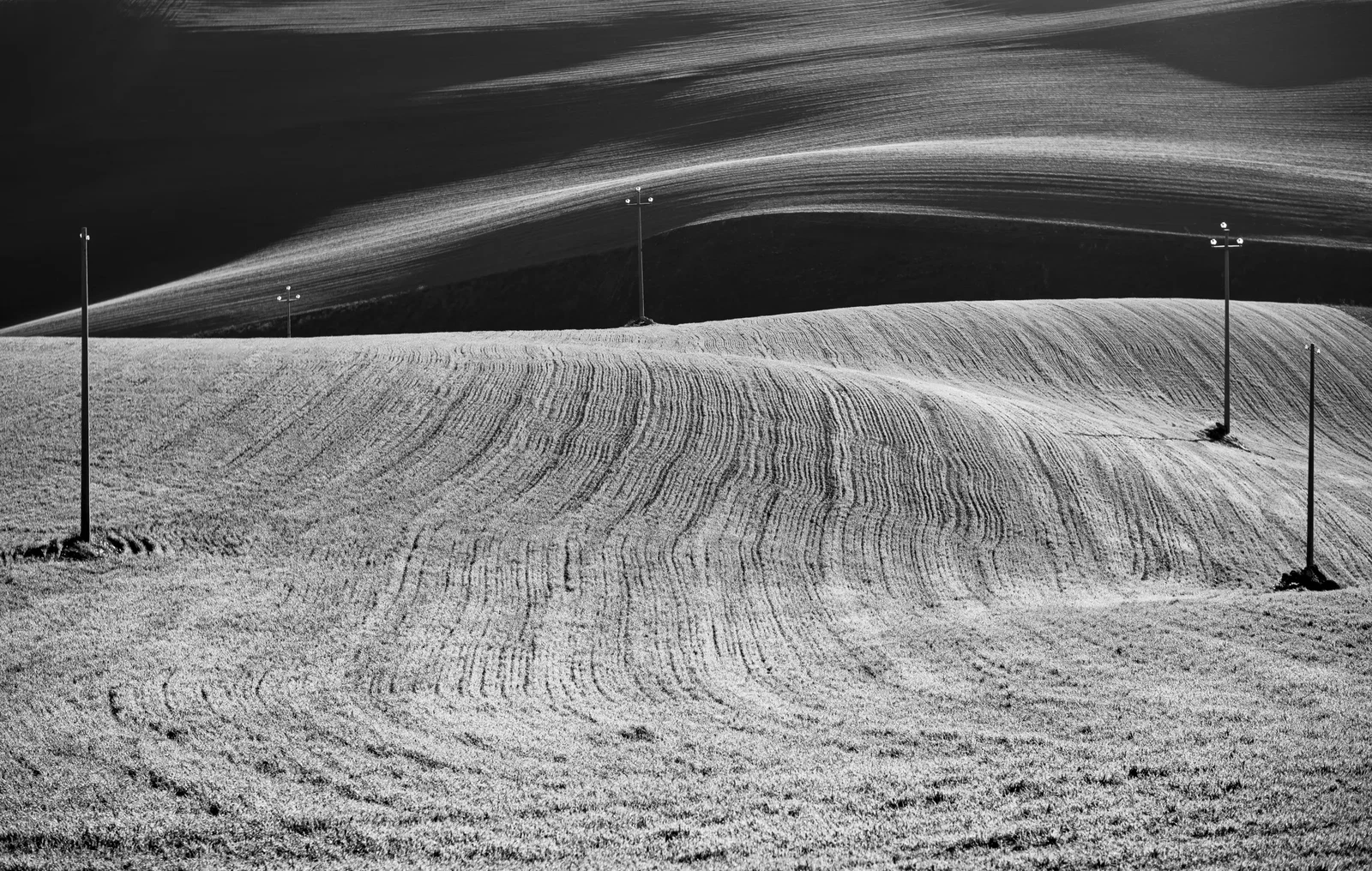 Photograph by Michela Manganiello
