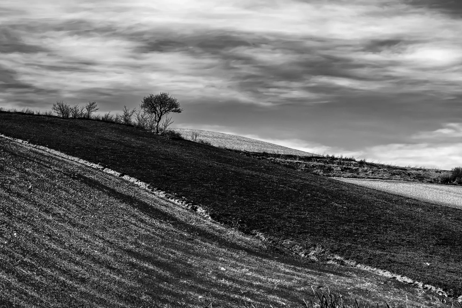 Photograph by Michela Manganiello